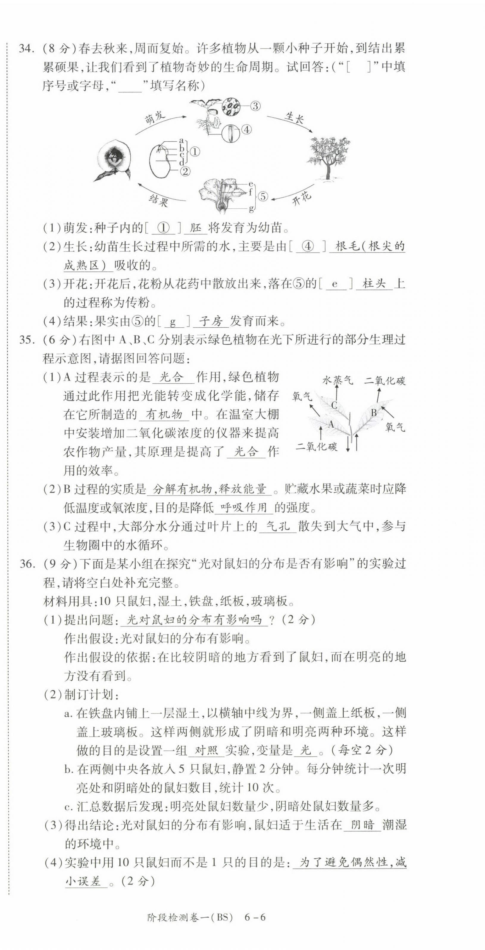 2022年中考狀元生物北師大版 第6頁