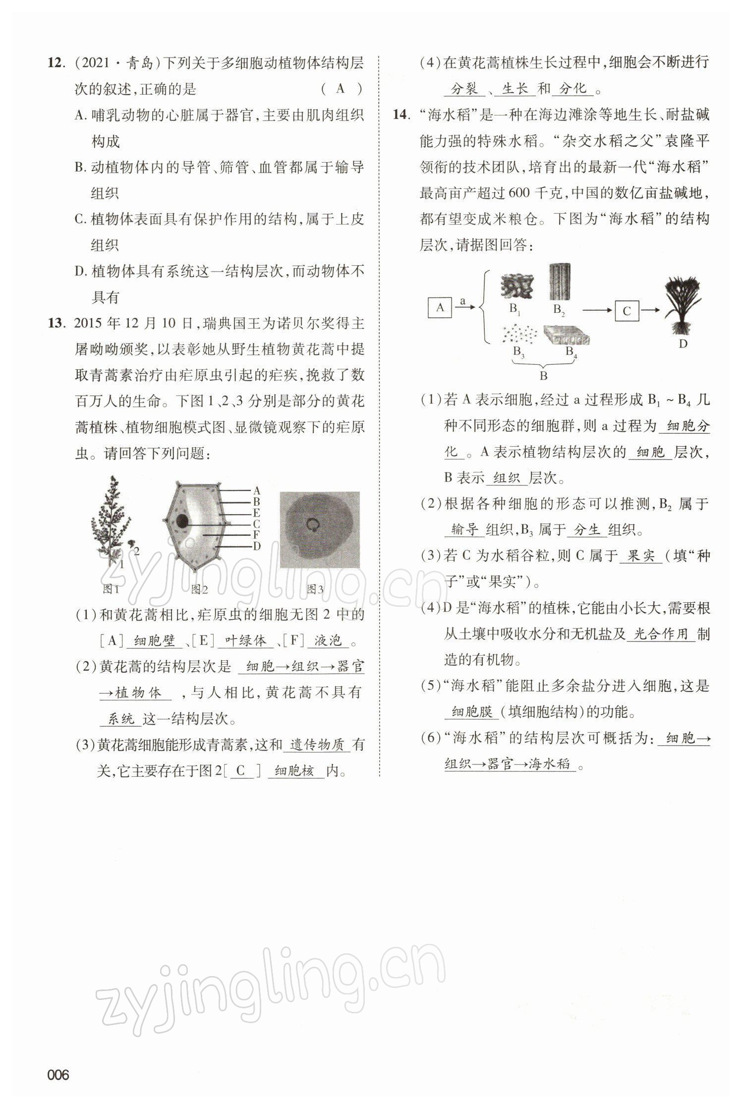 2022年中考狀元生物北師大版 參考答案第6頁