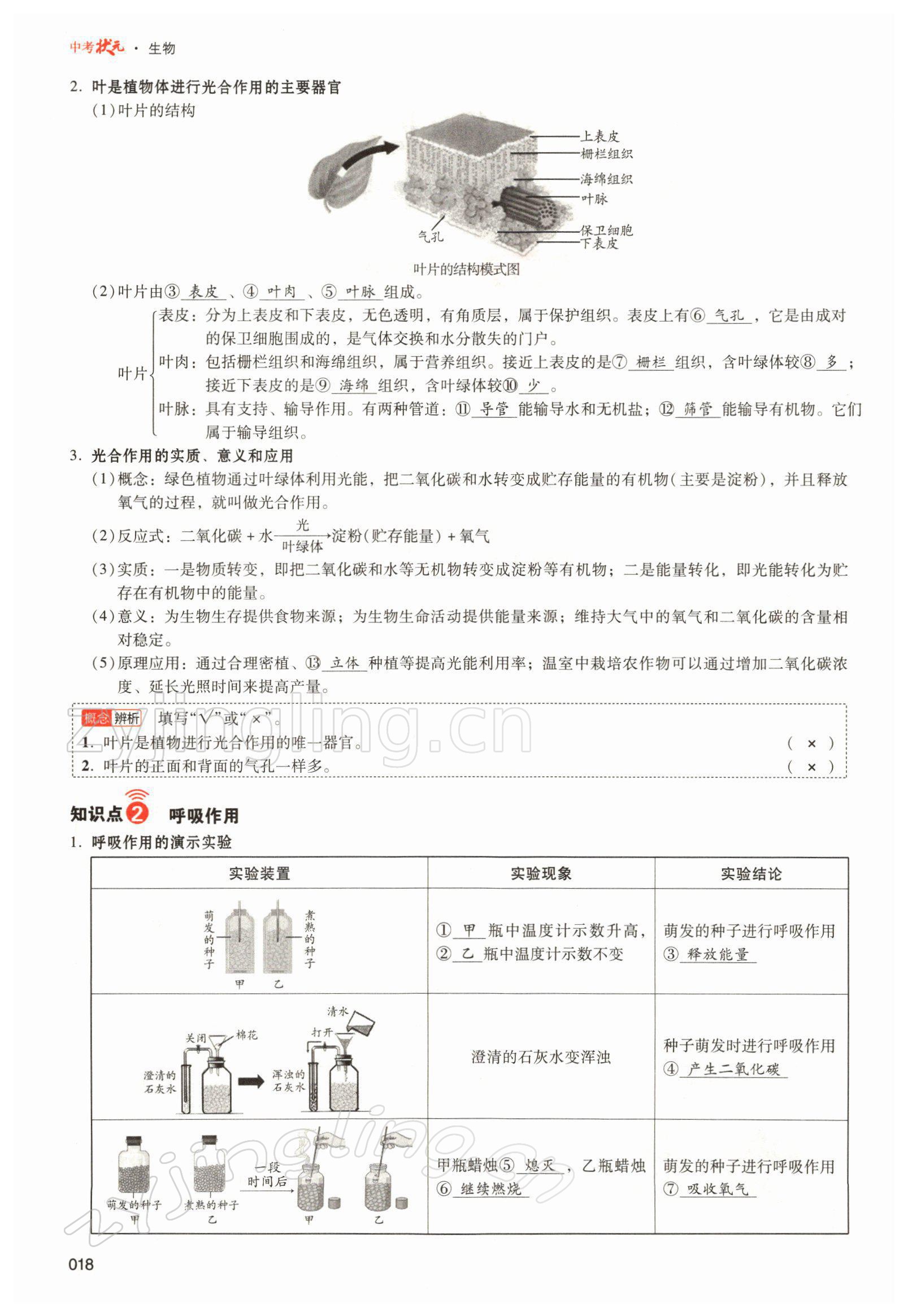 2022年中考状元生物北师大版 参考答案第18页