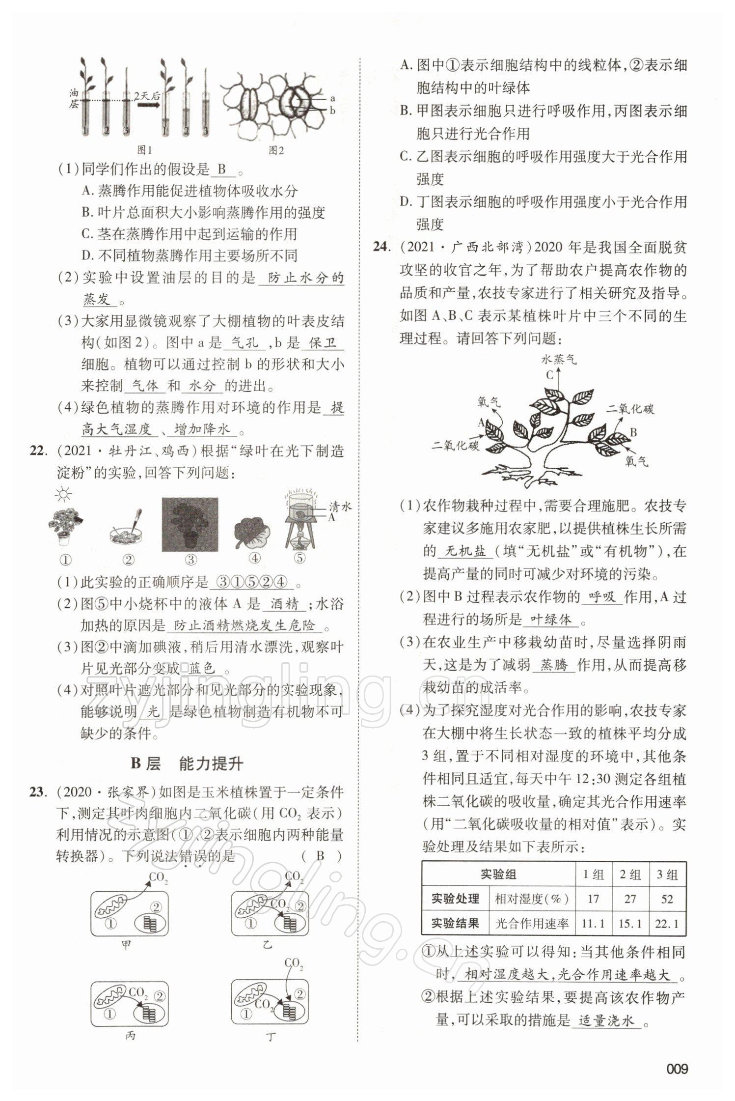 2022年中考状元生物北师大版 参考答案第9页