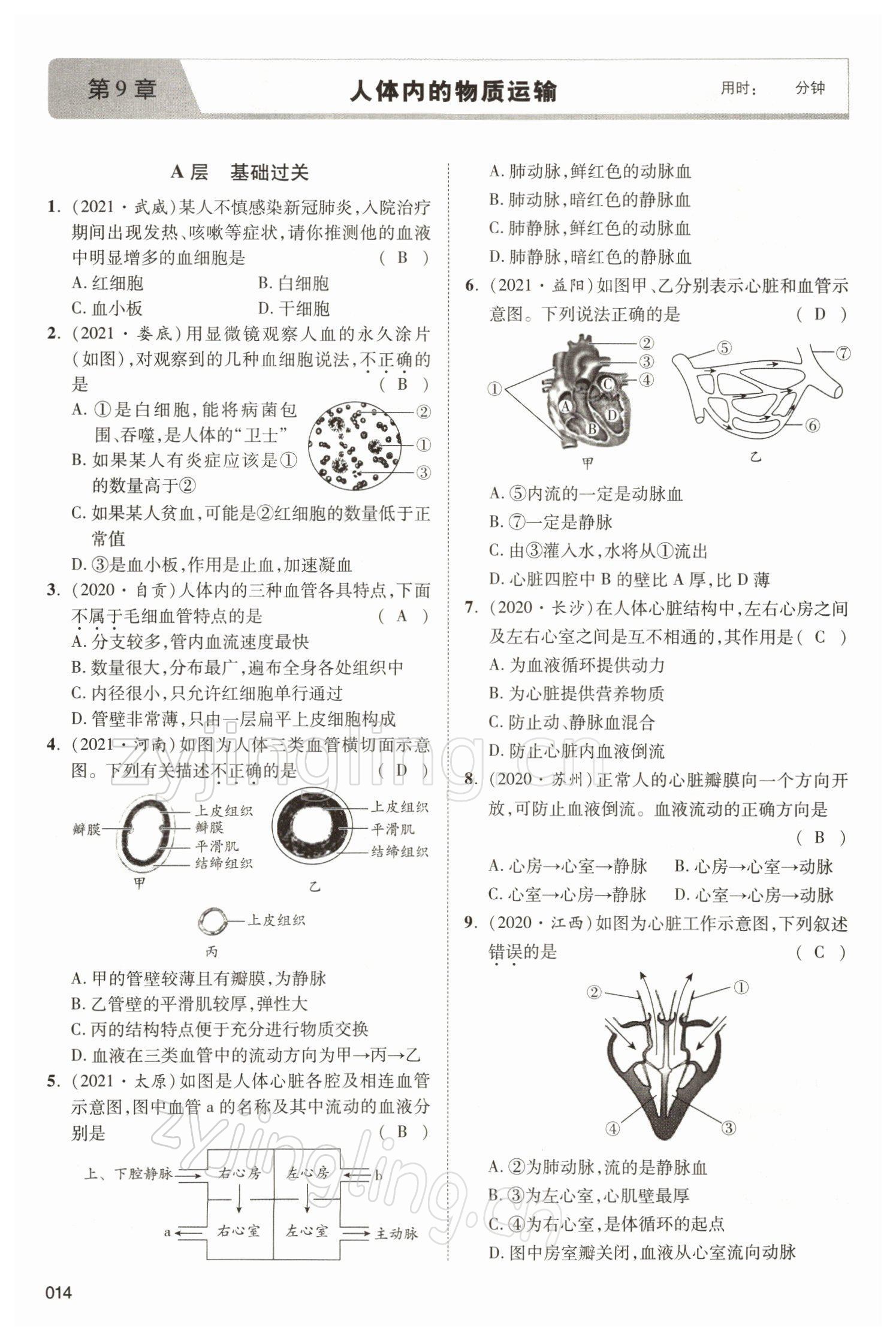 2022年中考状元生物北师大版 参考答案第14页