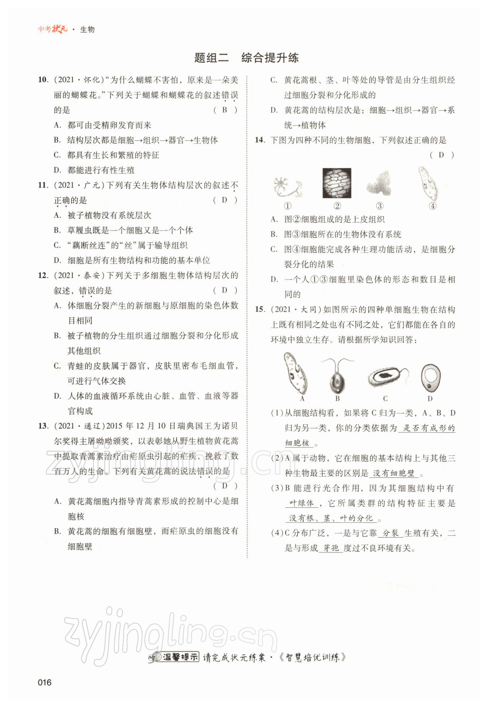 2022年中考狀元生物北師大版 參考答案第16頁(yè)