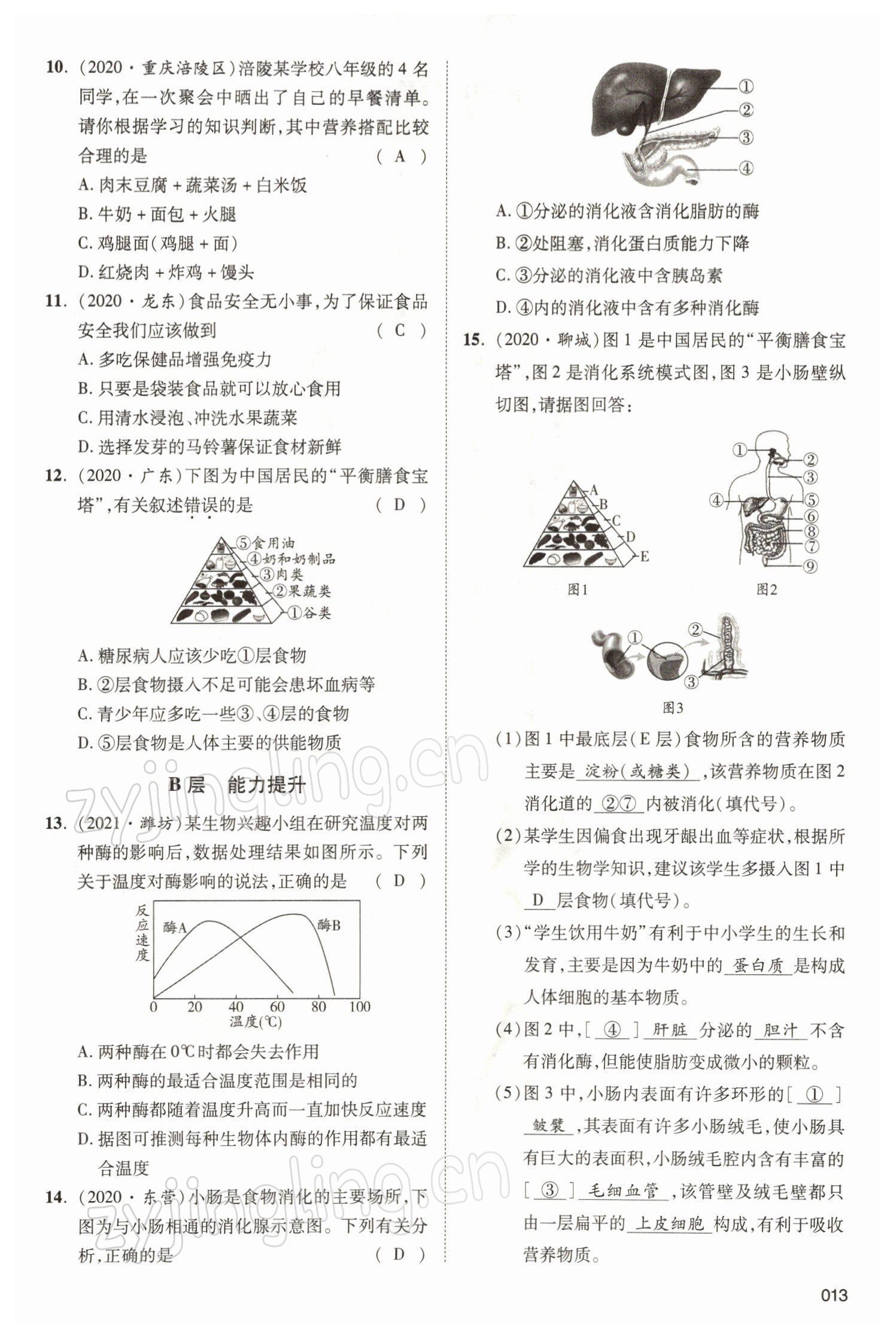 2022年中考狀元生物北師大版 參考答案第13頁(yè)