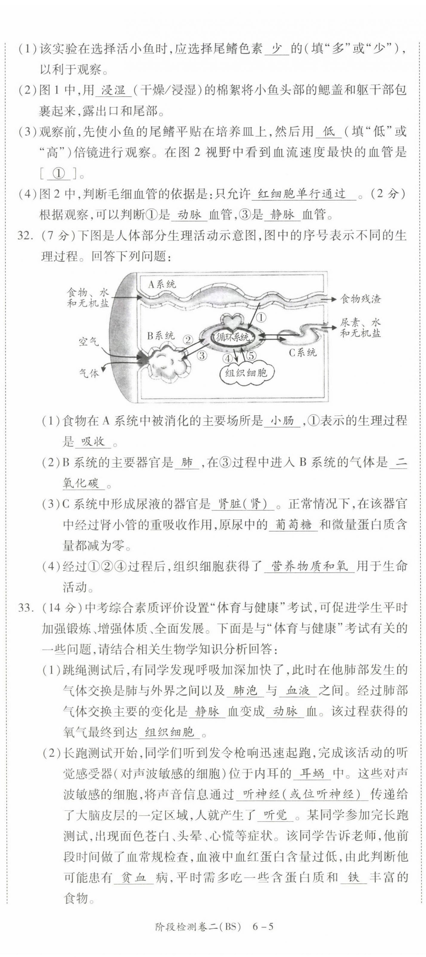 2022年中考狀元生物北師大版 第11頁