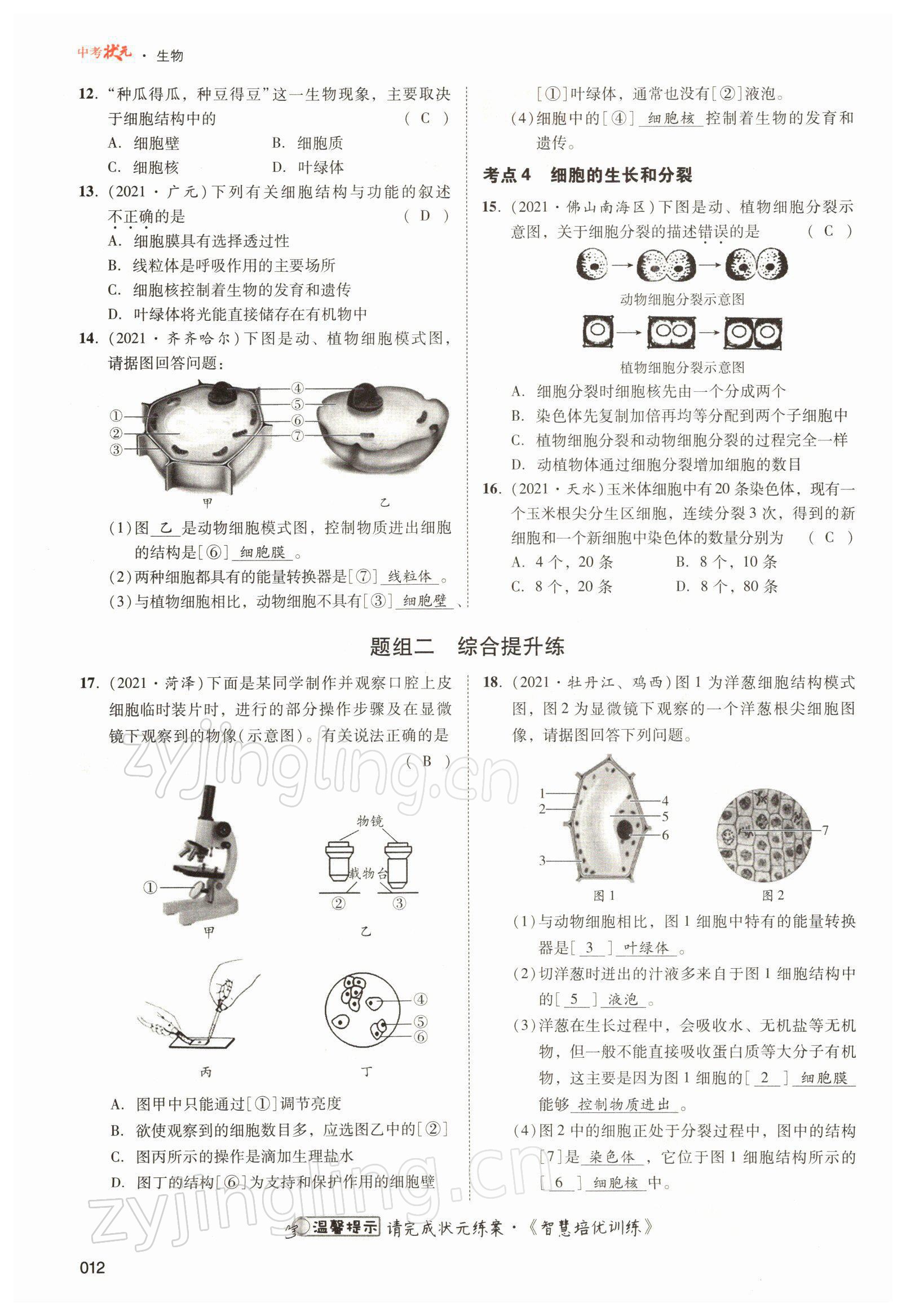 2022年中考狀元生物北師大版 參考答案第12頁