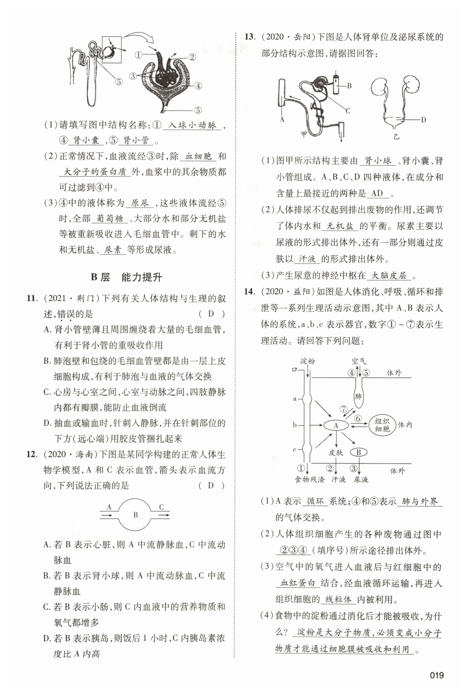 2022年中考狀元生物北師大版 參考答案第19頁