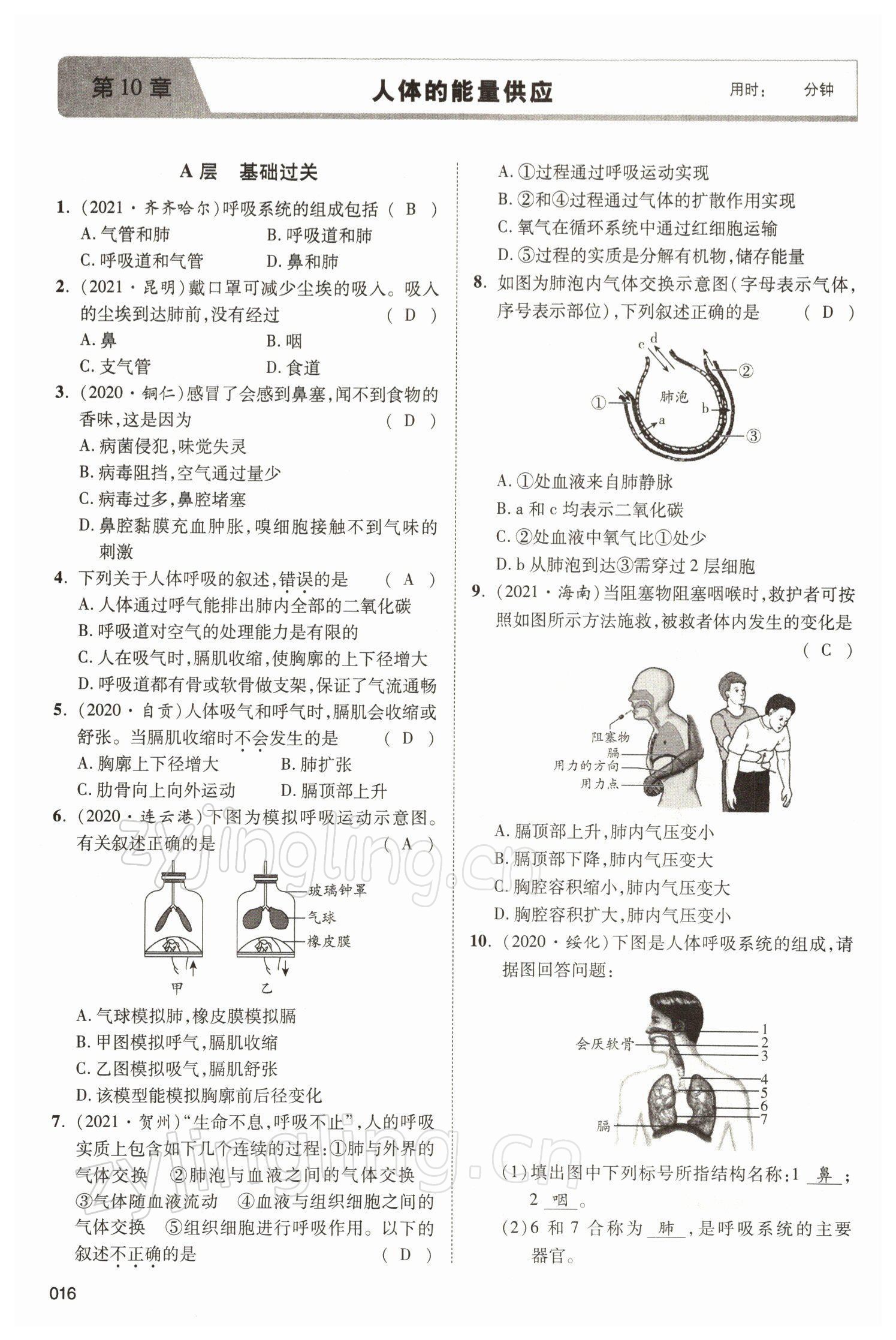 2022年中考狀元生物北師大版 參考答案第16頁(yè)