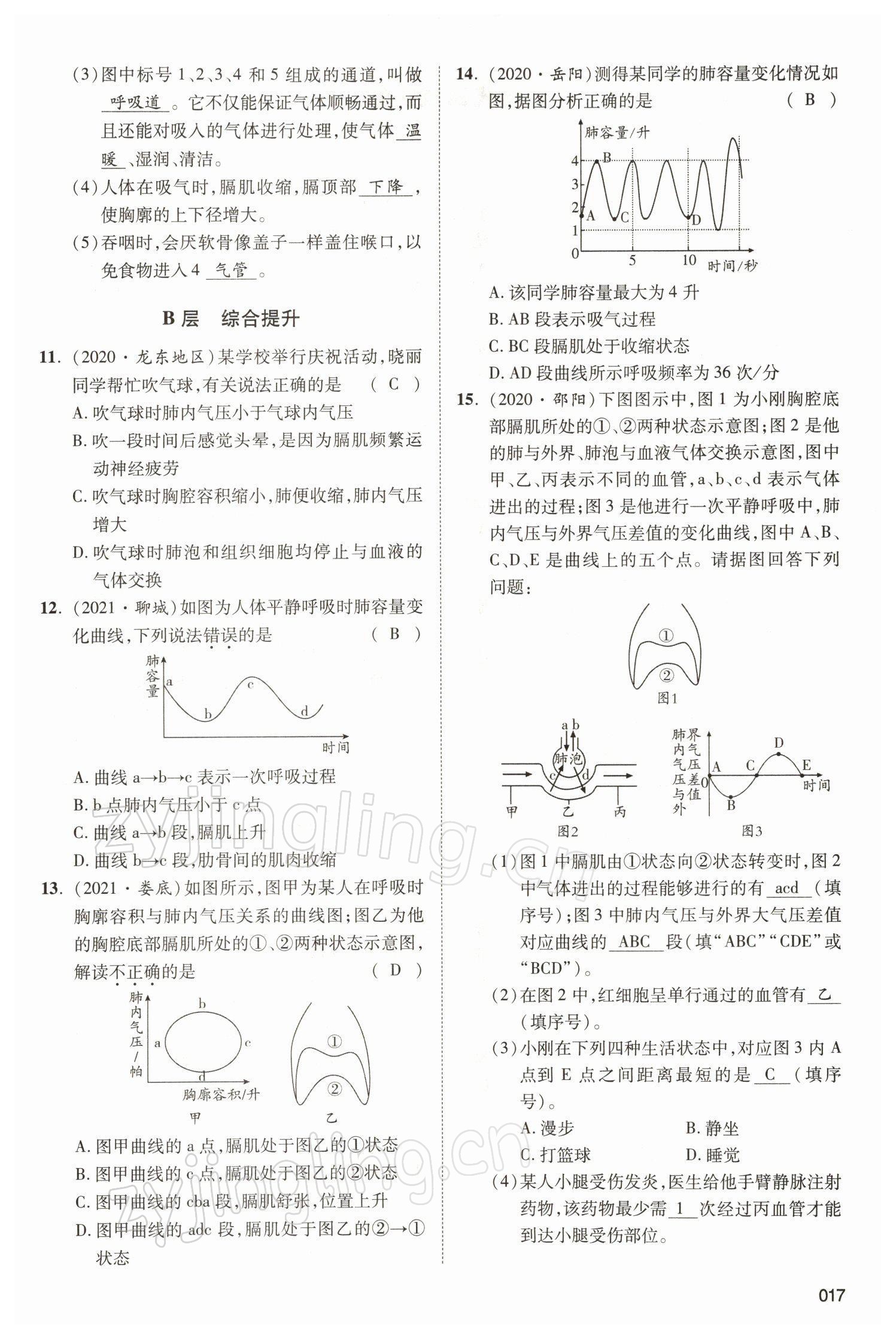 2022年中考狀元生物北師大版 參考答案第17頁