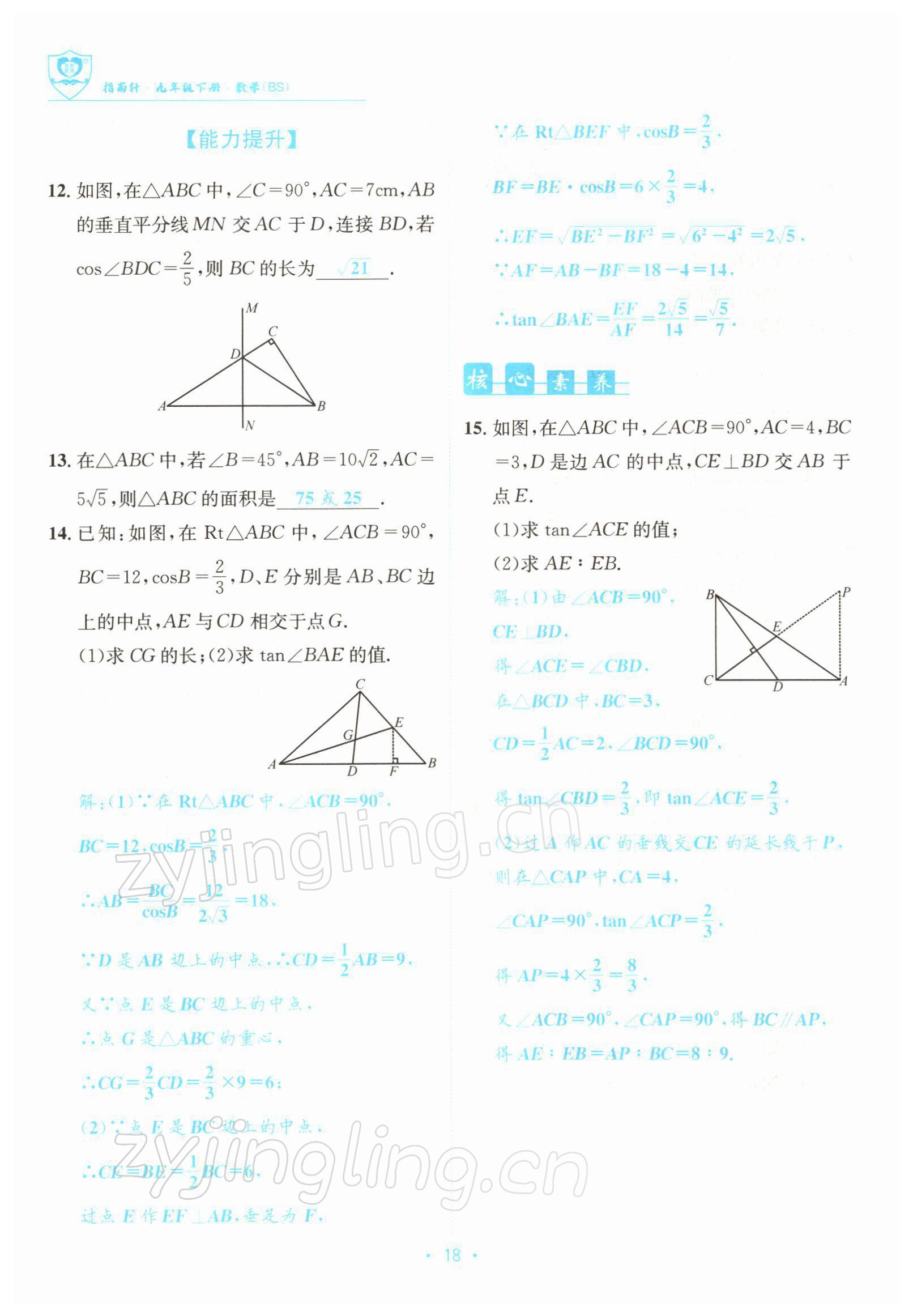 2022年指南針導(dǎo)學(xué)探究九年級(jí)數(shù)學(xué)下冊(cè)北師大版 參考答案第18頁(yè)