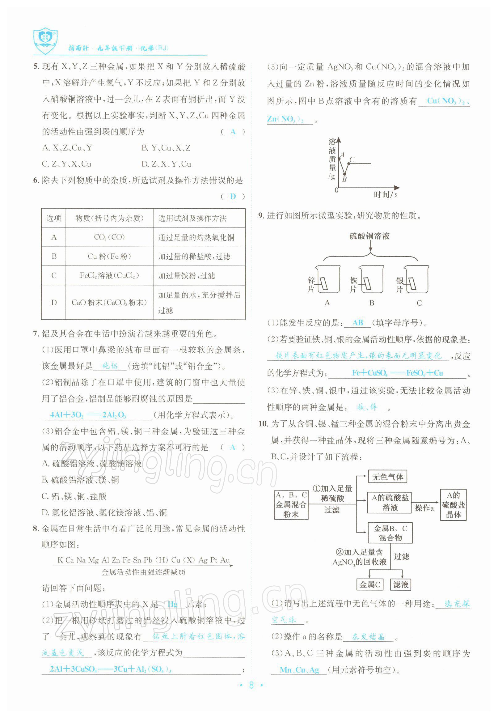 2022年指南针导学探究九年级化学下册人教版 参考答案第8页