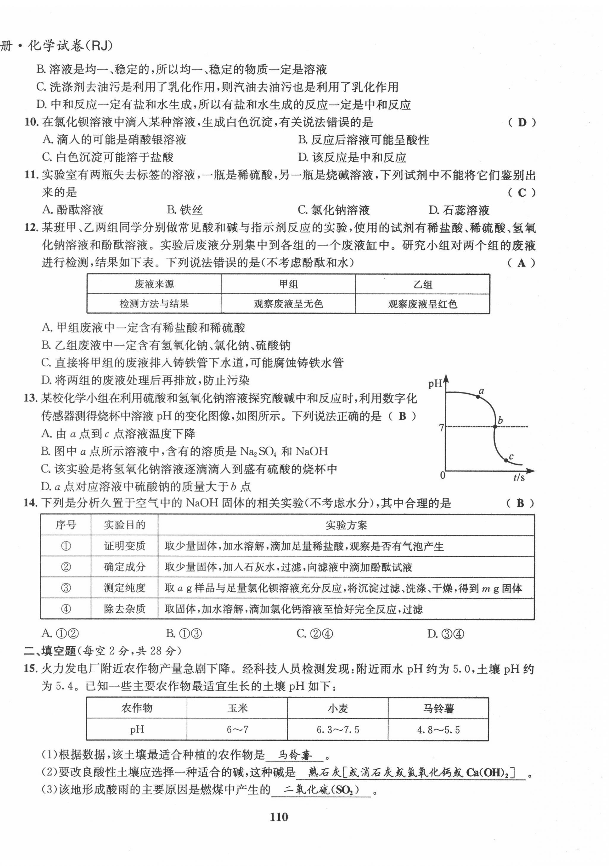 2022年指南针导学探究九年级化学下册人教版 第10页