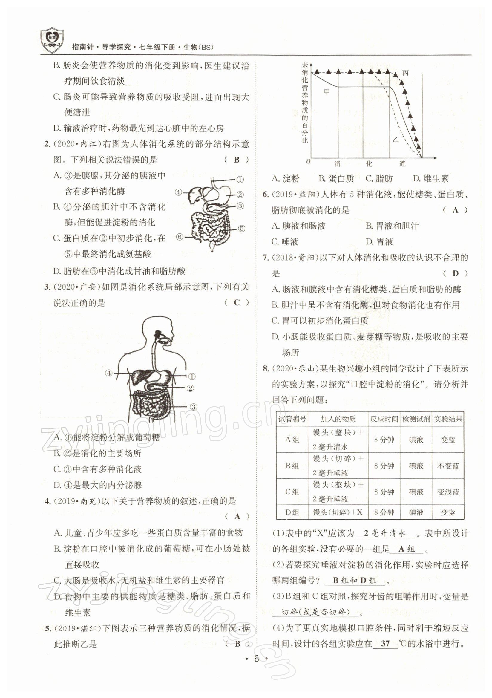 2022年指南針導(dǎo)學(xué)探究七年級生物下冊北師大版 參考答案第6頁