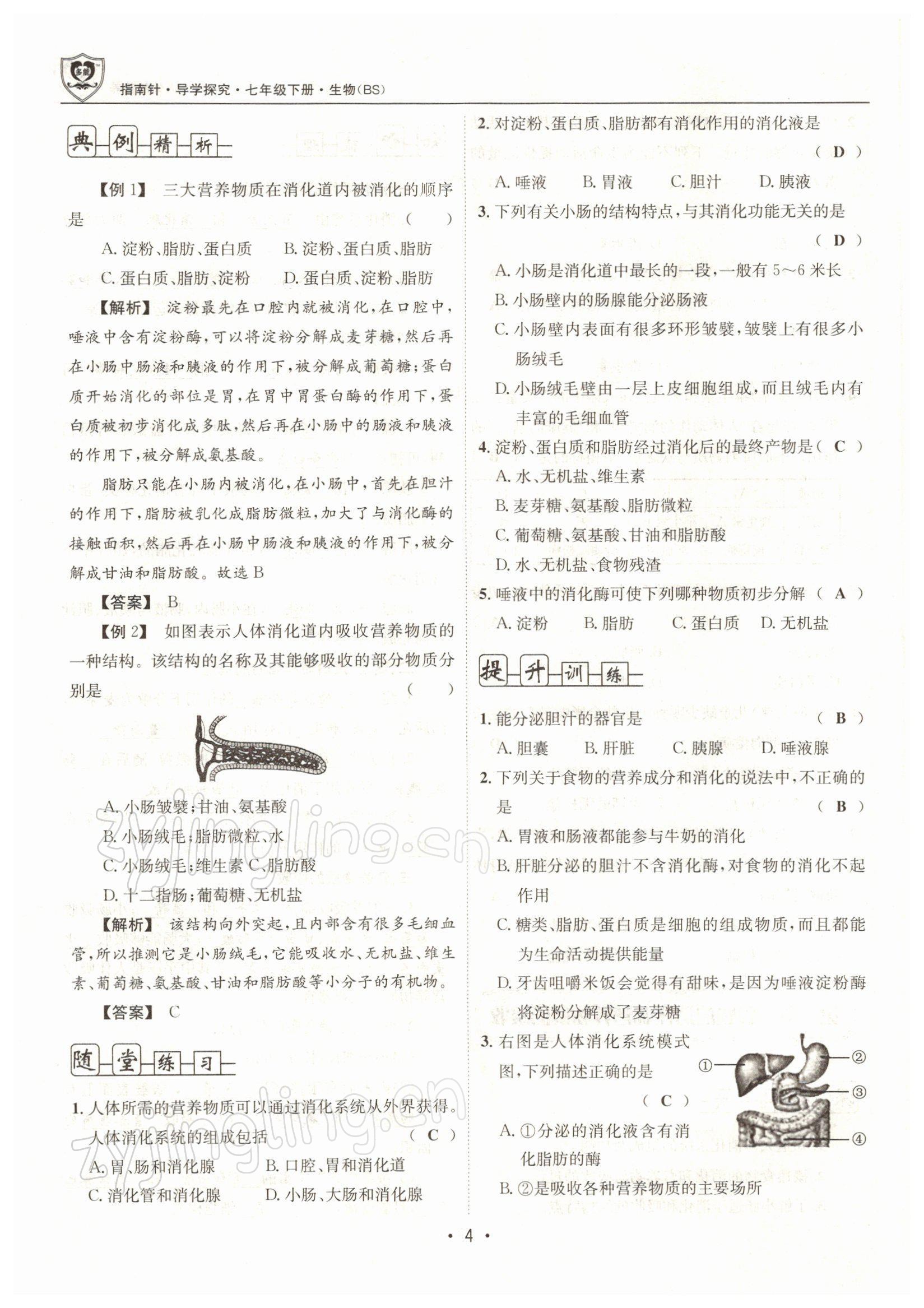 2022年指南針導(dǎo)學(xué)探究七年級生物下冊北師大版 參考答案第4頁