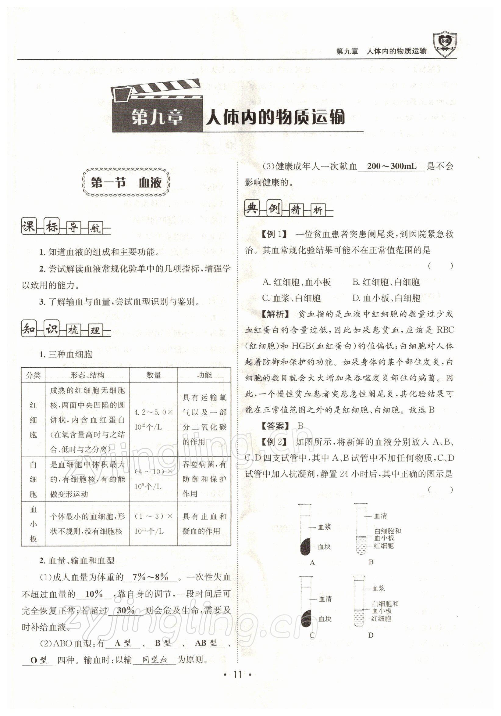 2022年指南針導(dǎo)學(xué)探究七年級(jí)生物下冊(cè)北師大版 參考答案第11頁(yè)