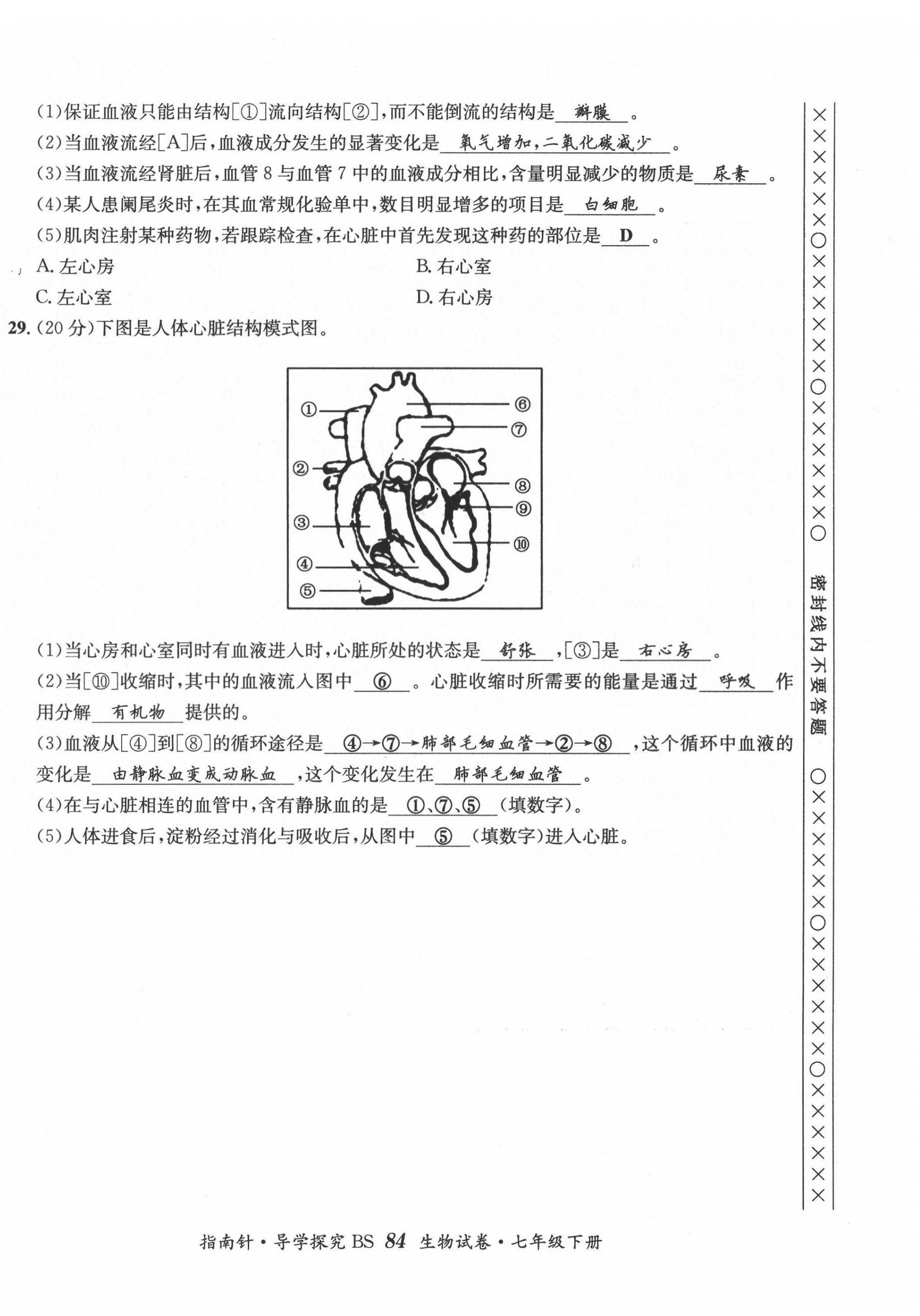 2022年指南针导学探究七年级生物下册北师大版 第8页