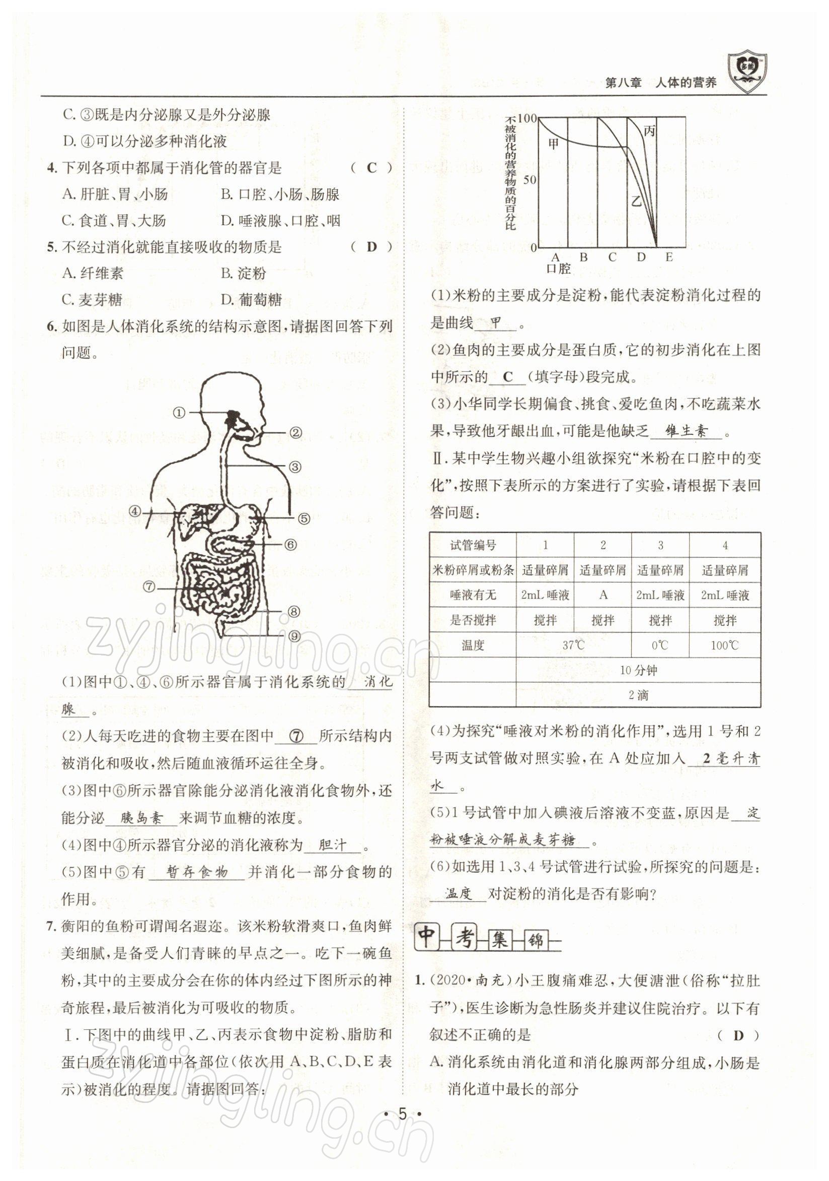 2022年指南針導(dǎo)學(xué)探究七年級生物下冊北師大版 參考答案第5頁