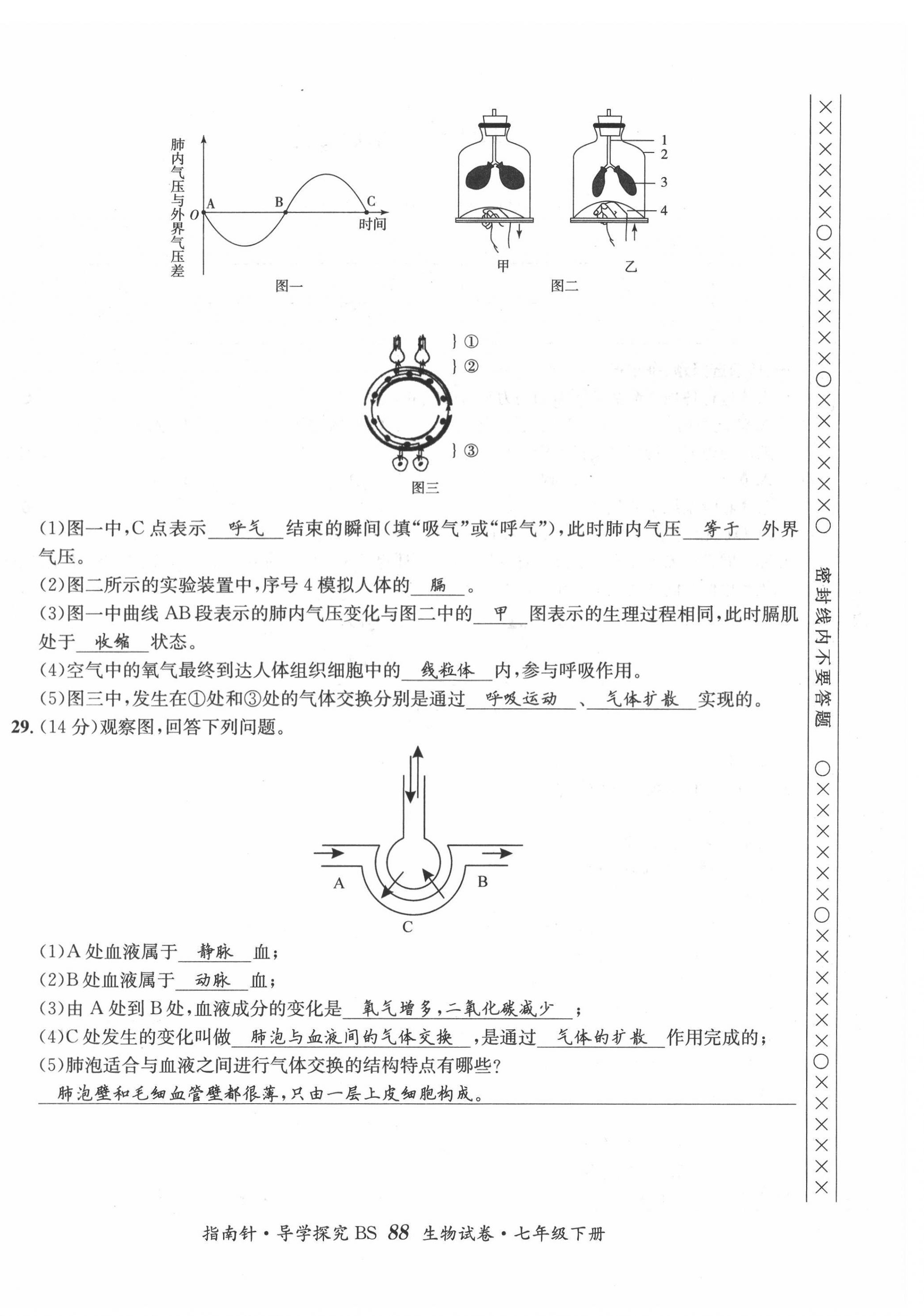 2022年指南針導學探究七年級生物下冊北師大版 第12頁