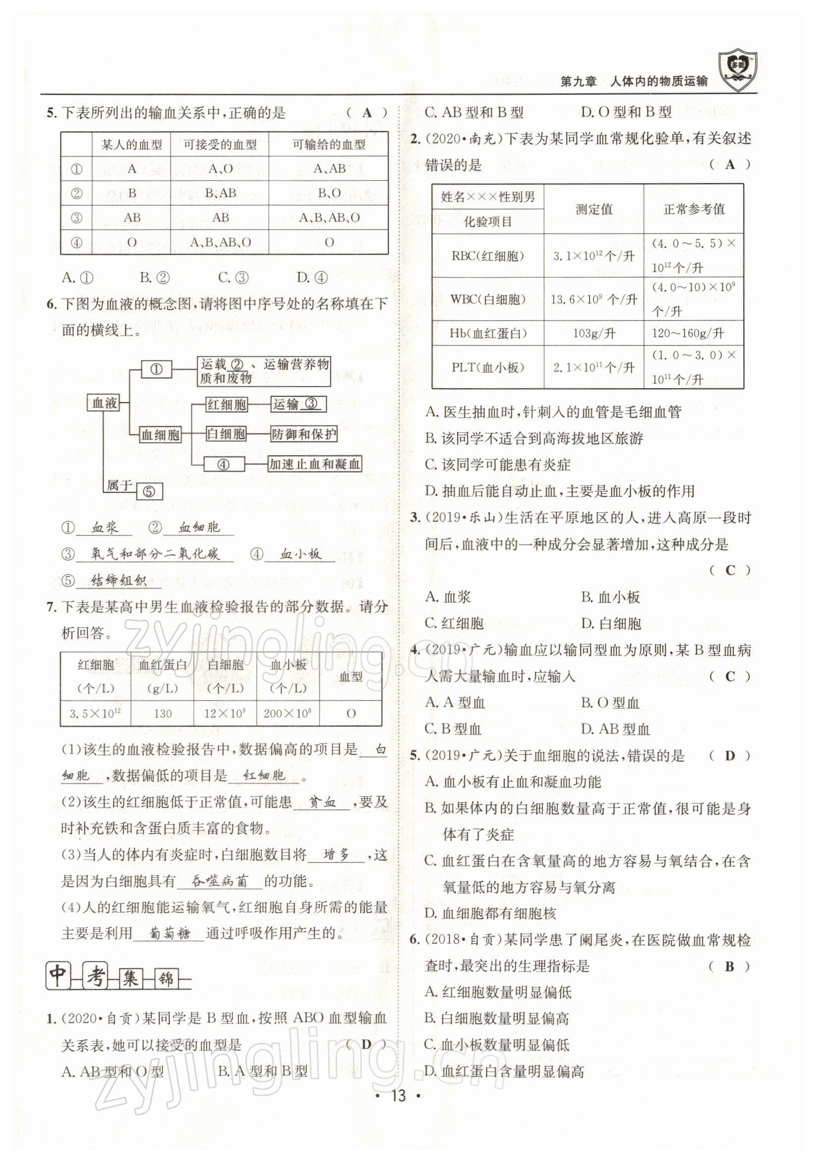 2022年指南针导学探究七年级生物下册北师大版 参考答案第13页