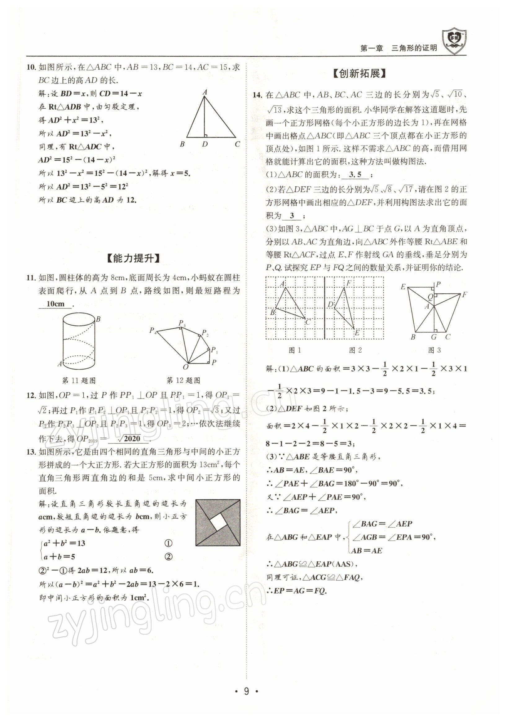 2022年指南针导学探究八年级数学下册北师大版 参考答案第8页