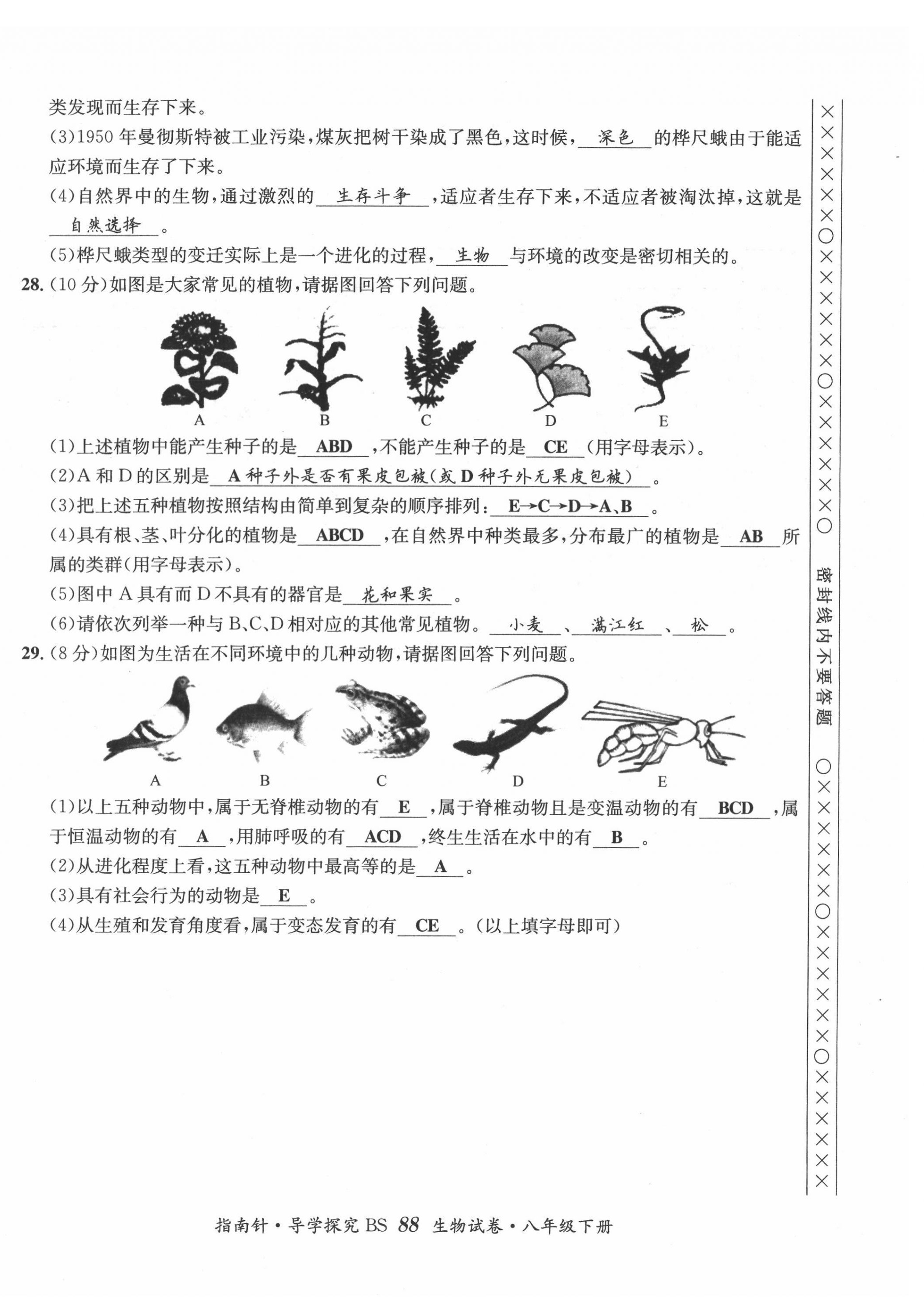 2022年指南針導(dǎo)學探究八年級生物下冊北師大版 第12頁