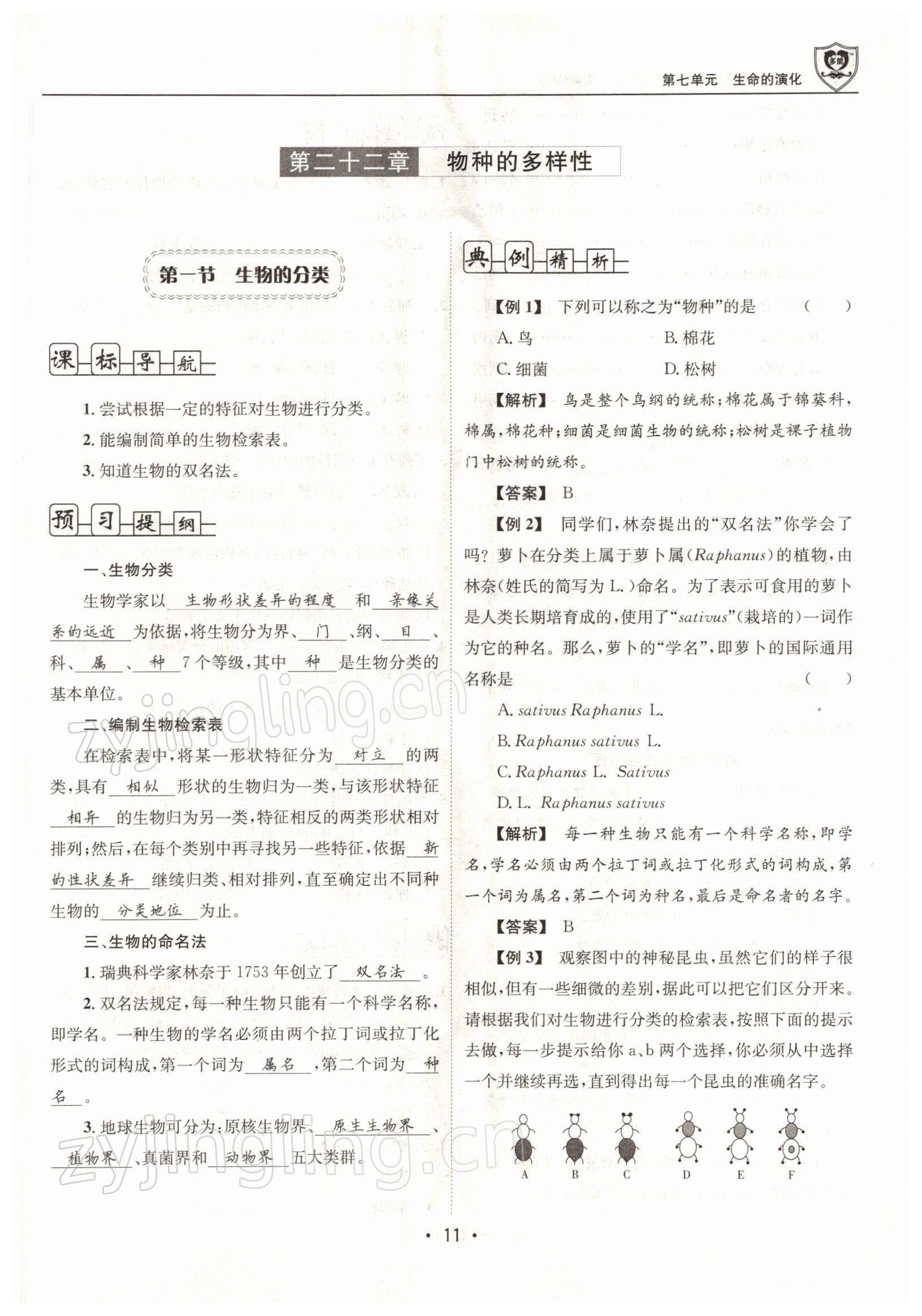 2022年指南針導(dǎo)學(xué)探究八年級(jí)生物下冊(cè)北師大版 參考答案第11頁(yè)