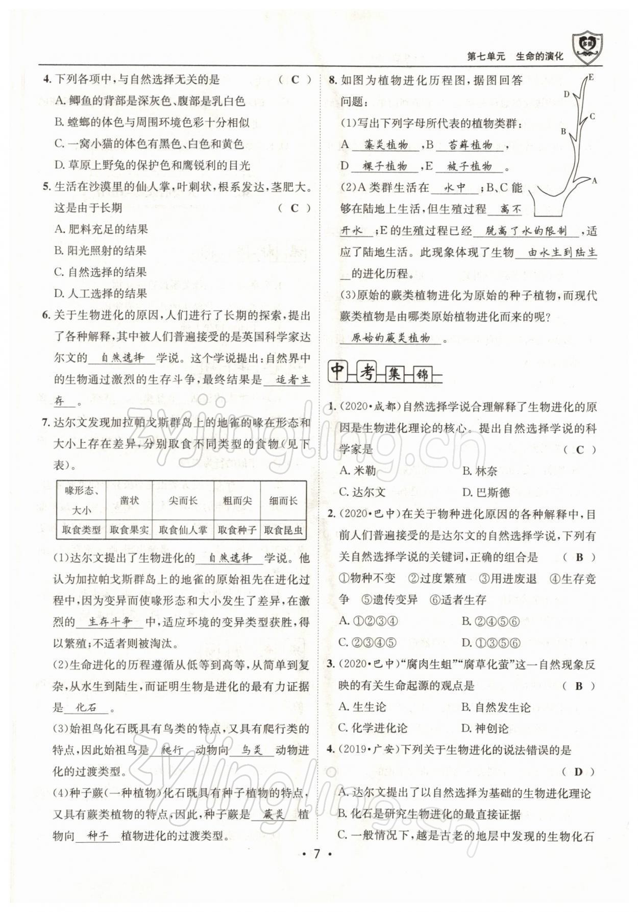 2022年指南針導(dǎo)學(xué)探究八年級生物下冊北師大版 參考答案第7頁