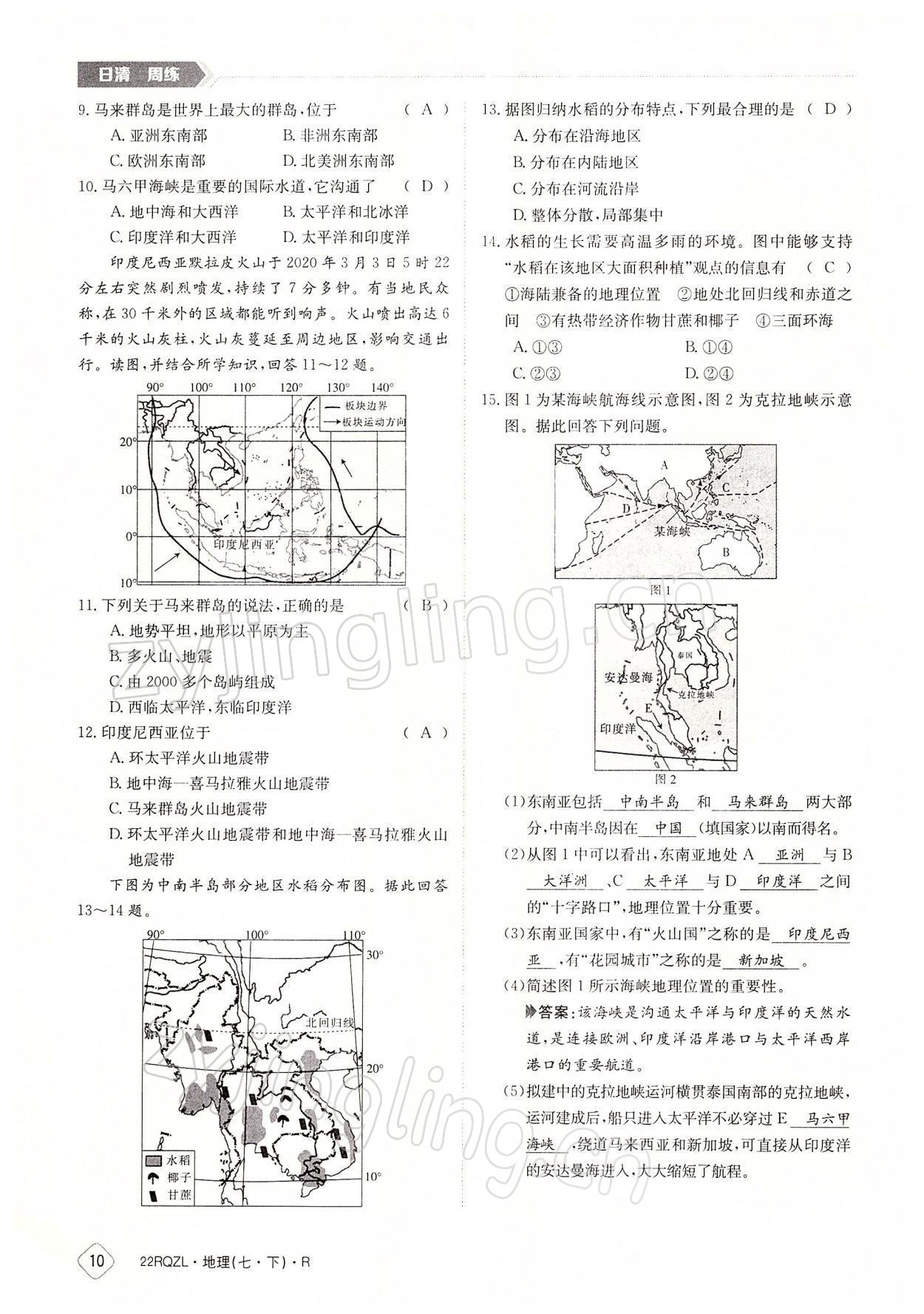 2022年日清周練七年級地理下冊人教版 參考答案第10頁