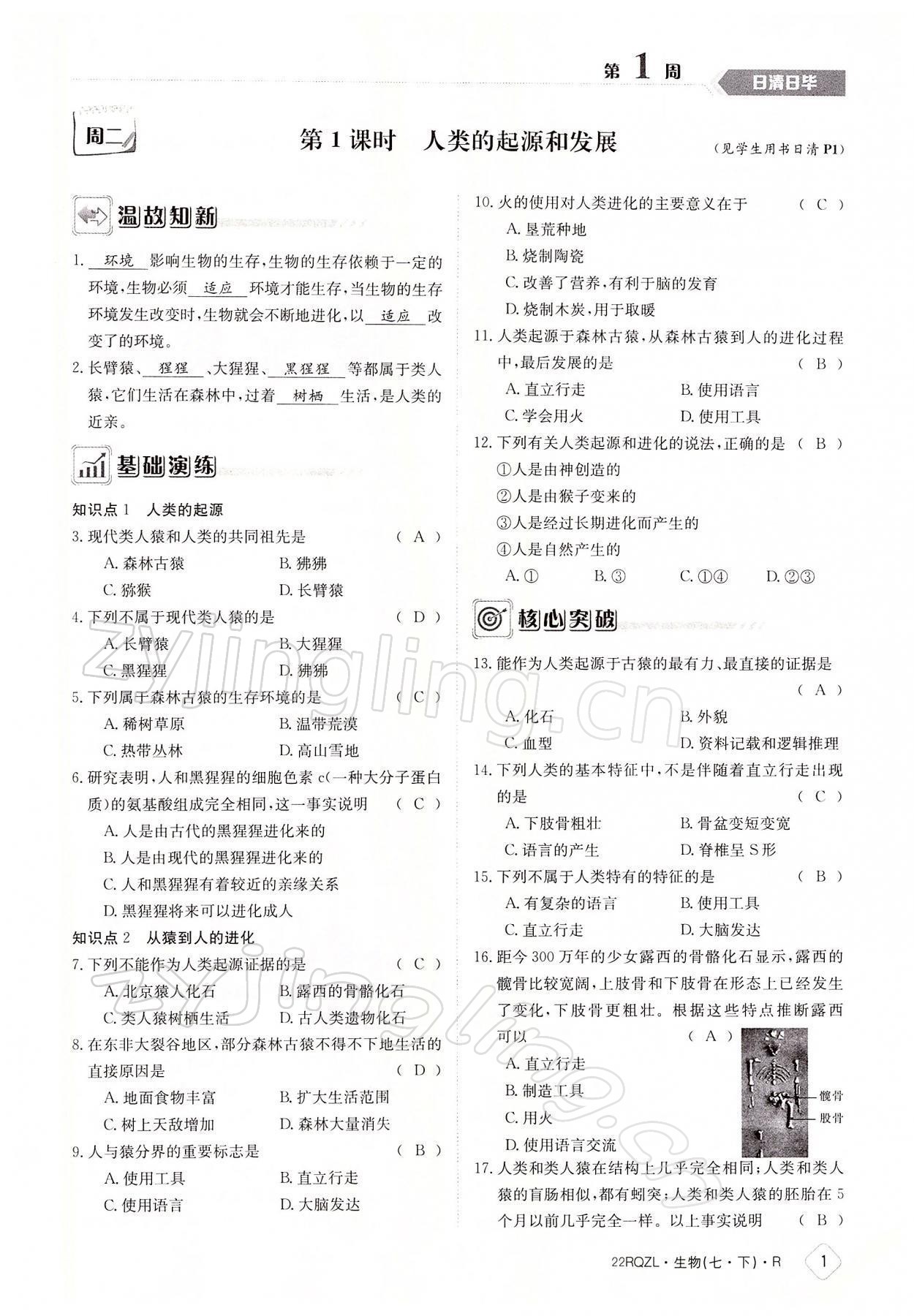 2022年日清周練七年級生物下冊人教版 參考答案第1頁