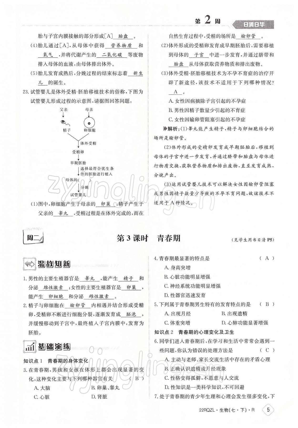 2022年日清周練七年級生物下冊人教版 參考答案第5頁