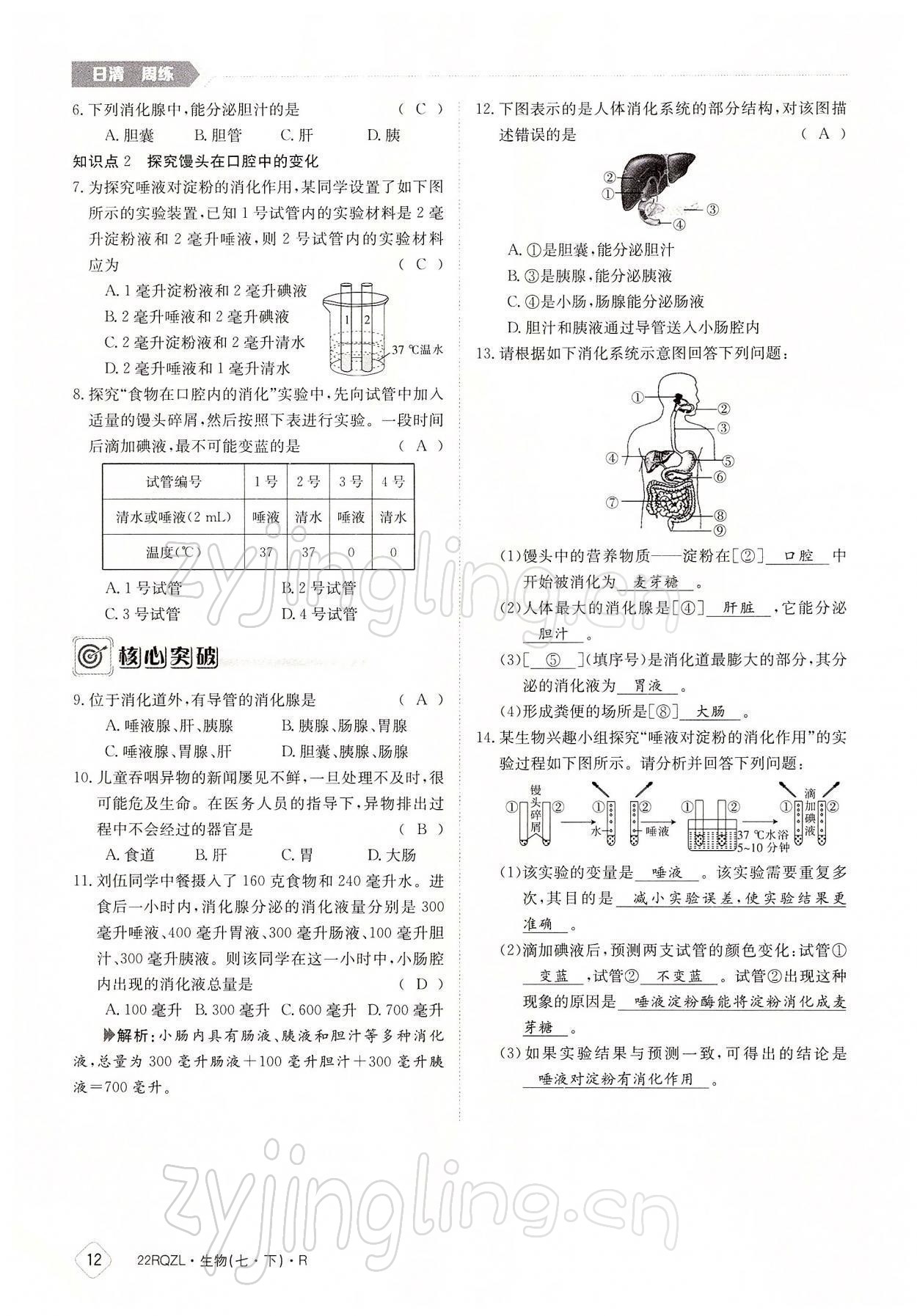 2022年日清周練七年級生物下冊人教版 參考答案第12頁