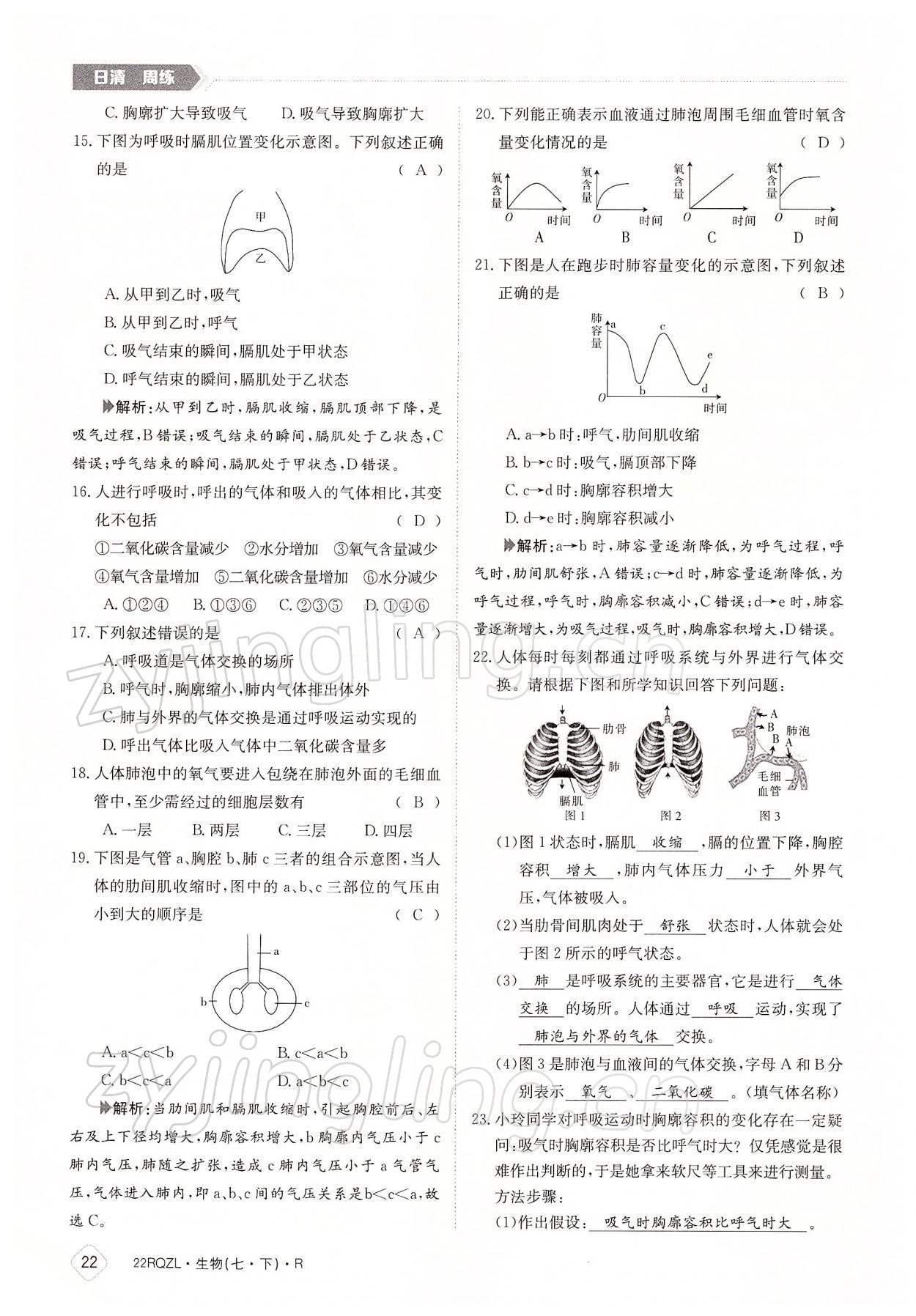 2022年日清周練七年級(jí)生物下冊(cè)人教版 參考答案第22頁(yè)