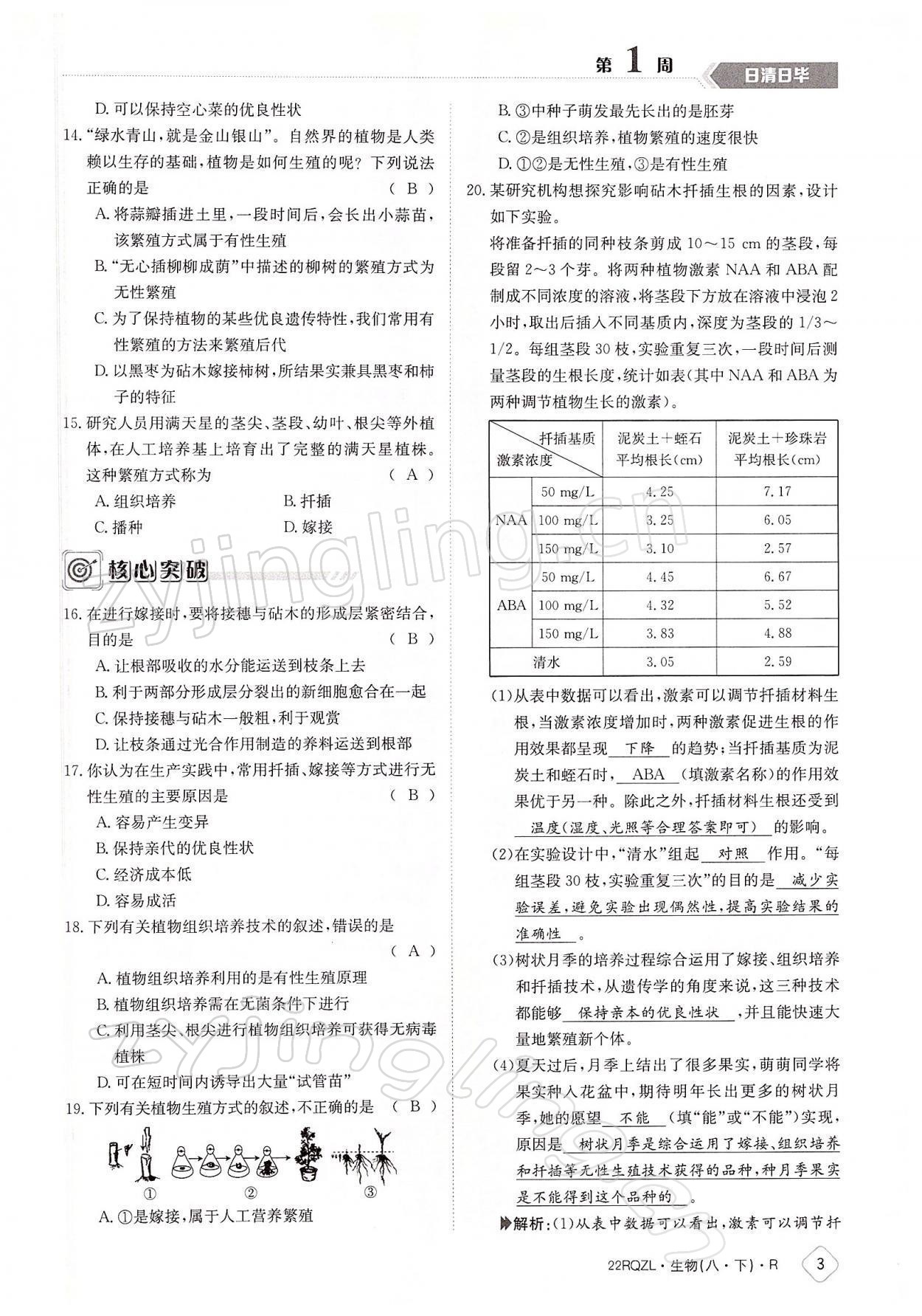 2022年日清周練八年級(jí)生物下冊(cè)人教版 參考答案第3頁(yè)