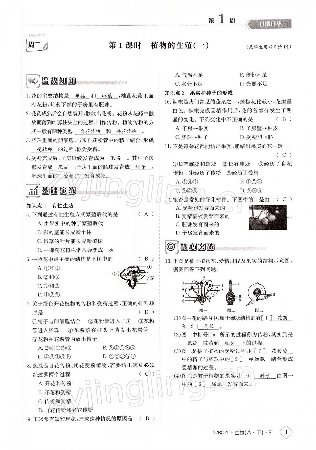 2022年日清周練八年級(jí)生物下冊(cè)人教版 參考答案第1頁(yè)