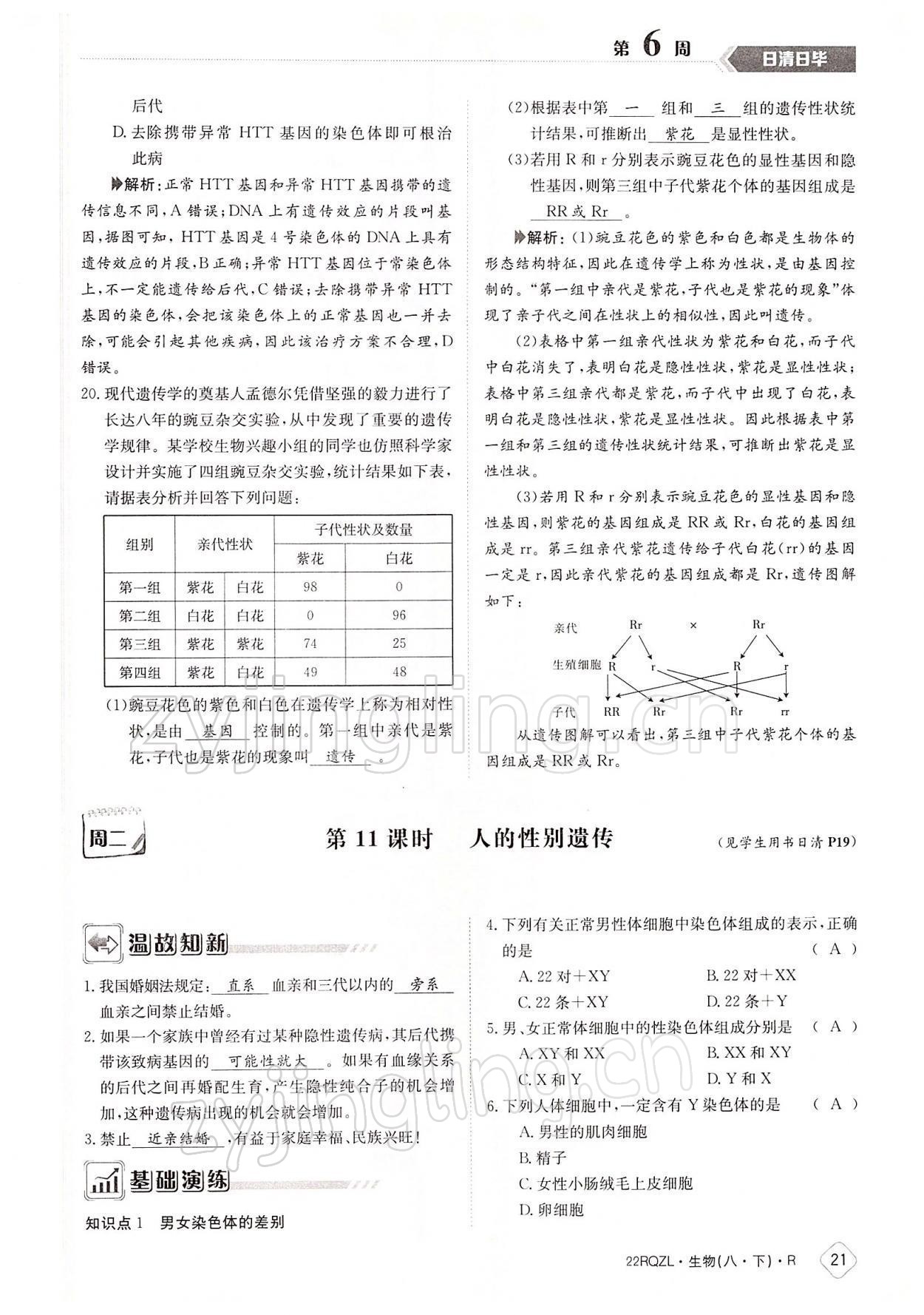 2022年日清周練八年級生物下冊人教版 參考答案第21頁