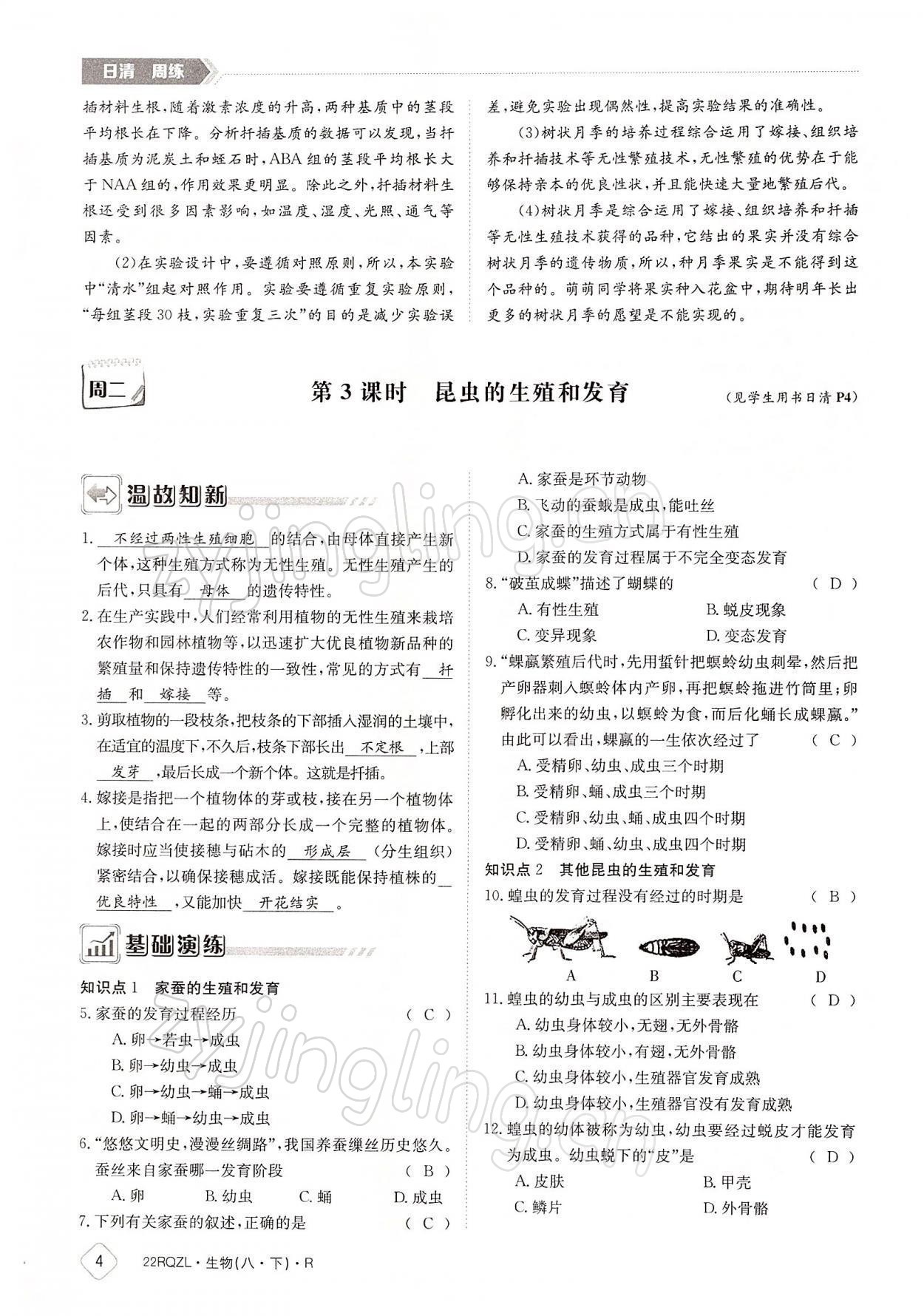 2022年日清周練八年級(jí)生物下冊(cè)人教版 參考答案第4頁