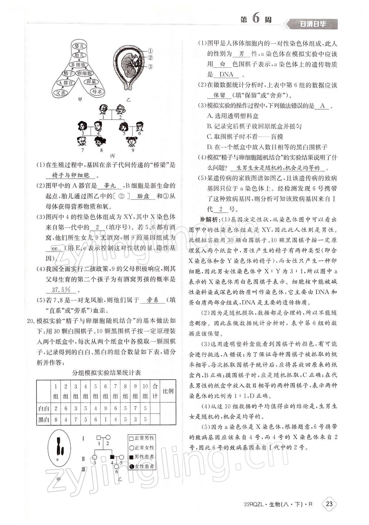 2022年日清周練八年級(jí)生物下冊(cè)人教版 參考答案第23頁(yè)