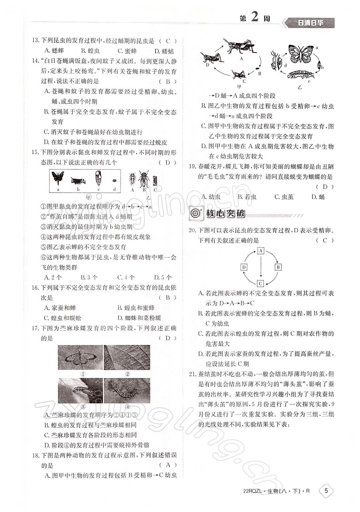 2022年日清周練八年級生物下冊人教版 參考答案第5頁