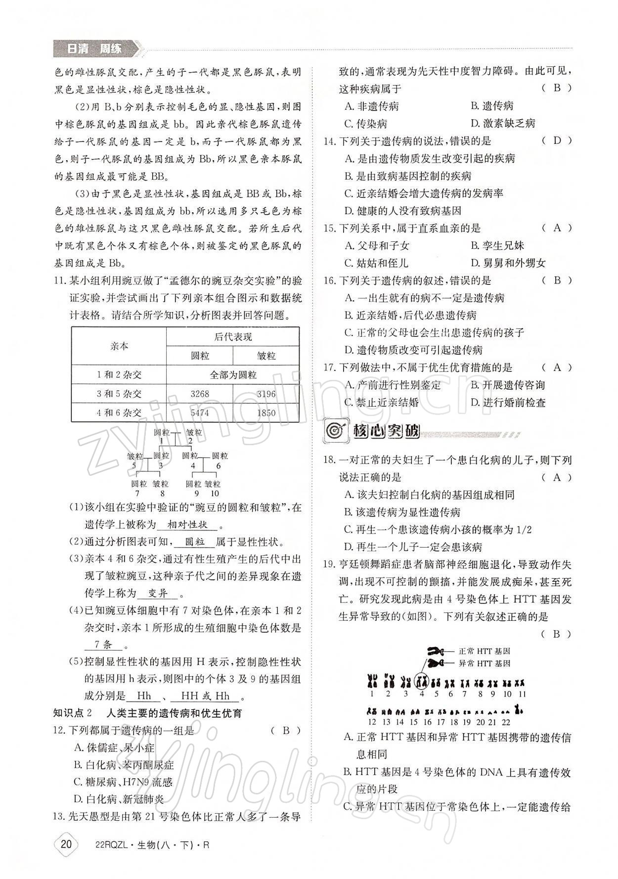 2022年日清周練八年級生物下冊人教版 參考答案第20頁