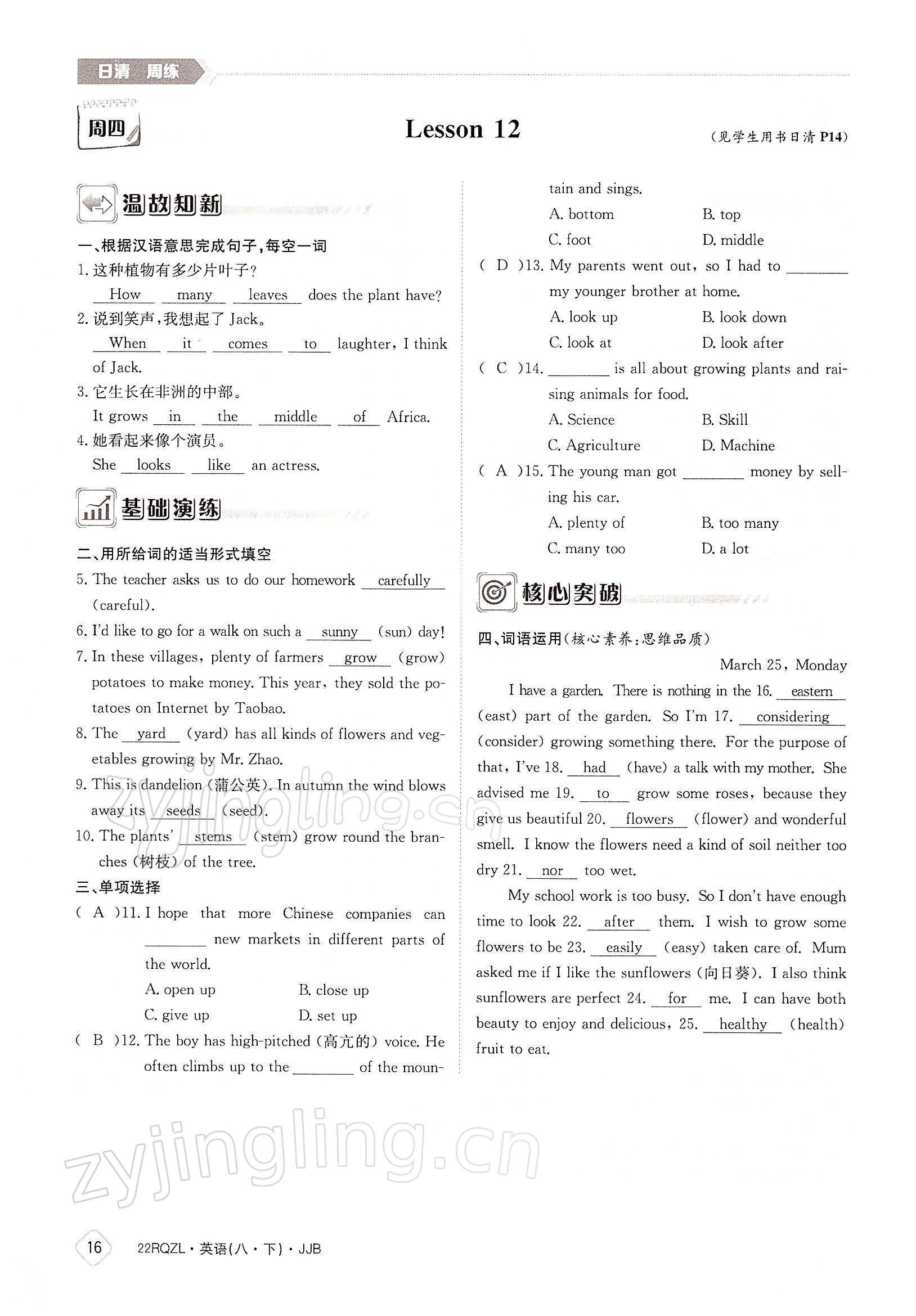 2022年日清周練八年級英語下冊冀教版 參考答案第16頁