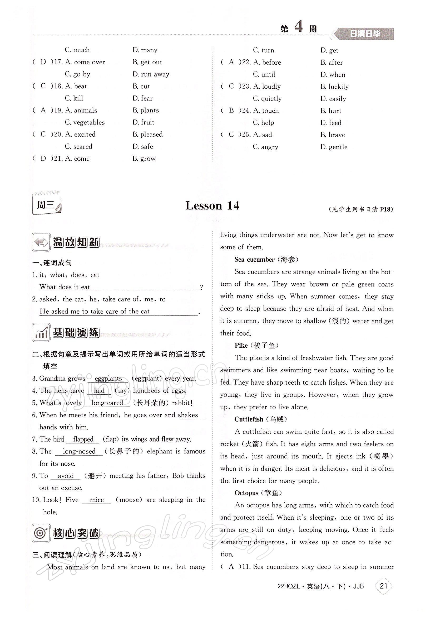 2022年日清周練八年級英語下冊冀教版 參考答案第21頁