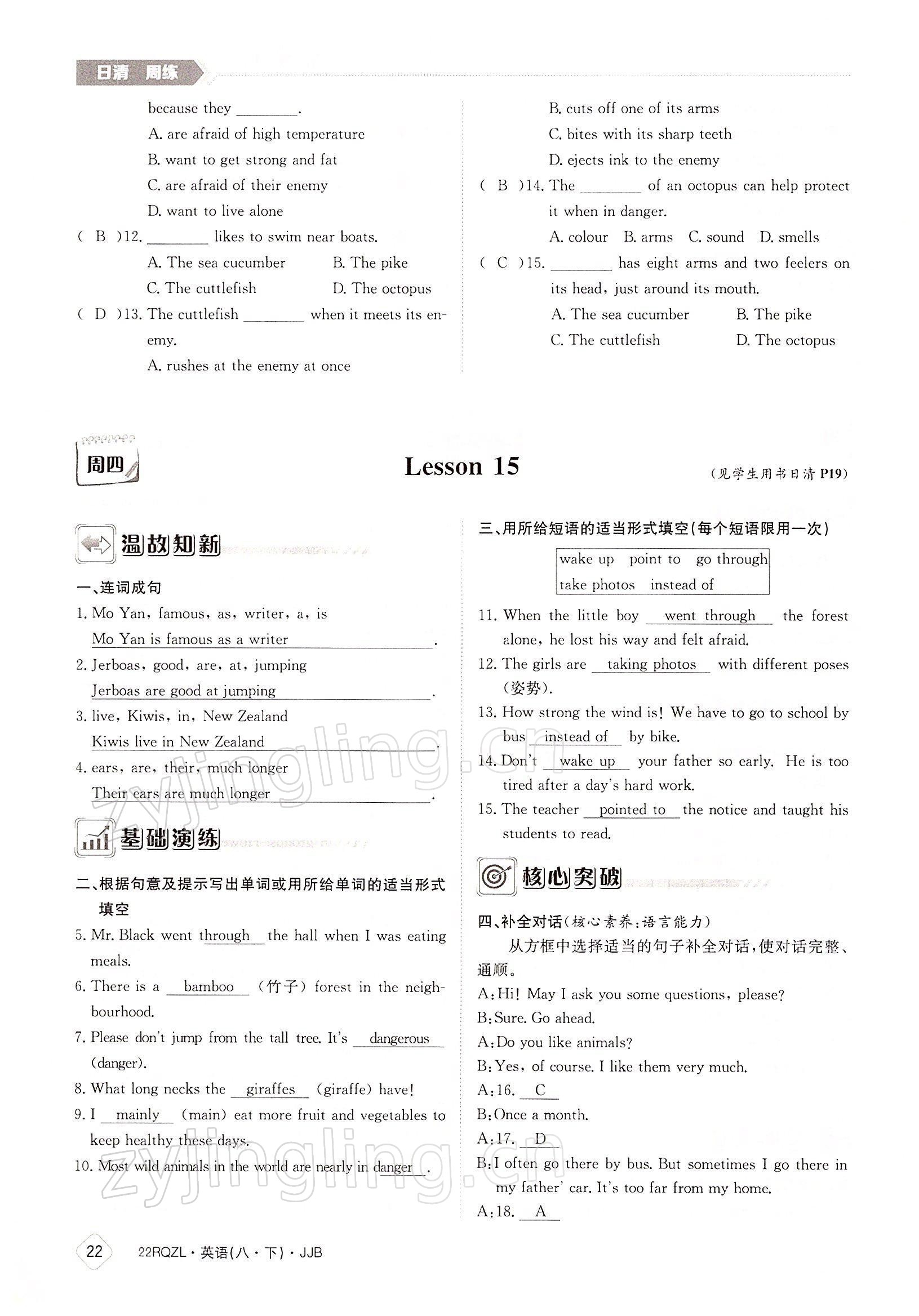 2022年日清周練八年級英語下冊冀教版 參考答案第22頁