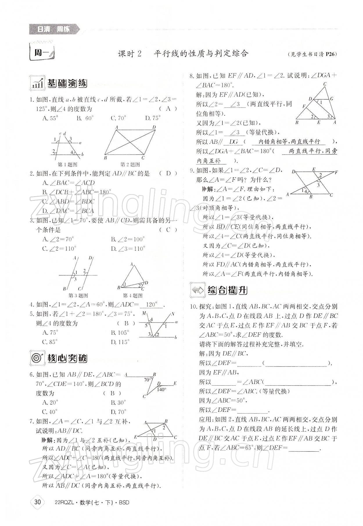 2022年日清周练七年级数学下册北师大版 参考答案第30页