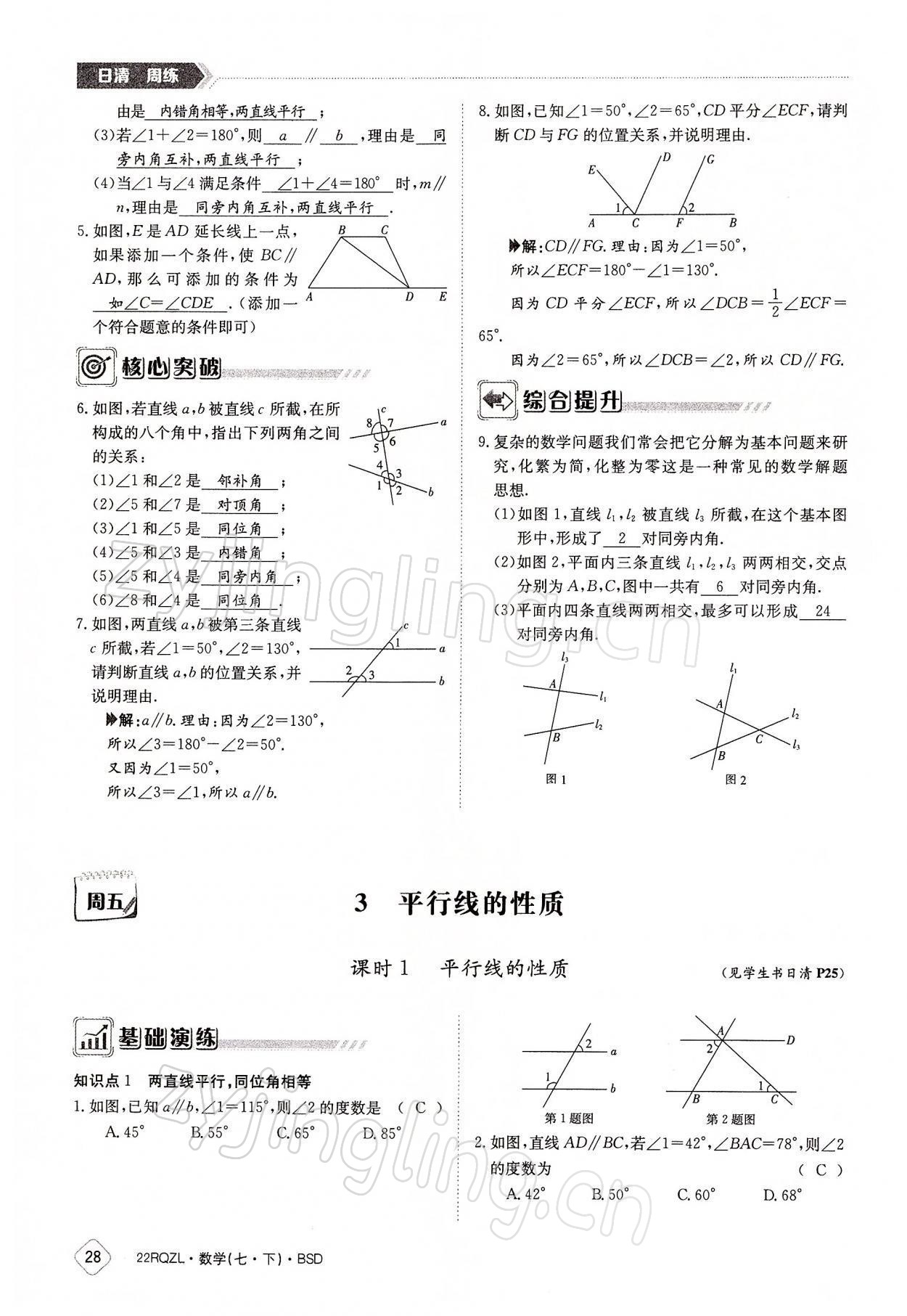 2022年日清周练七年级数学下册北师大版 参考答案第28页