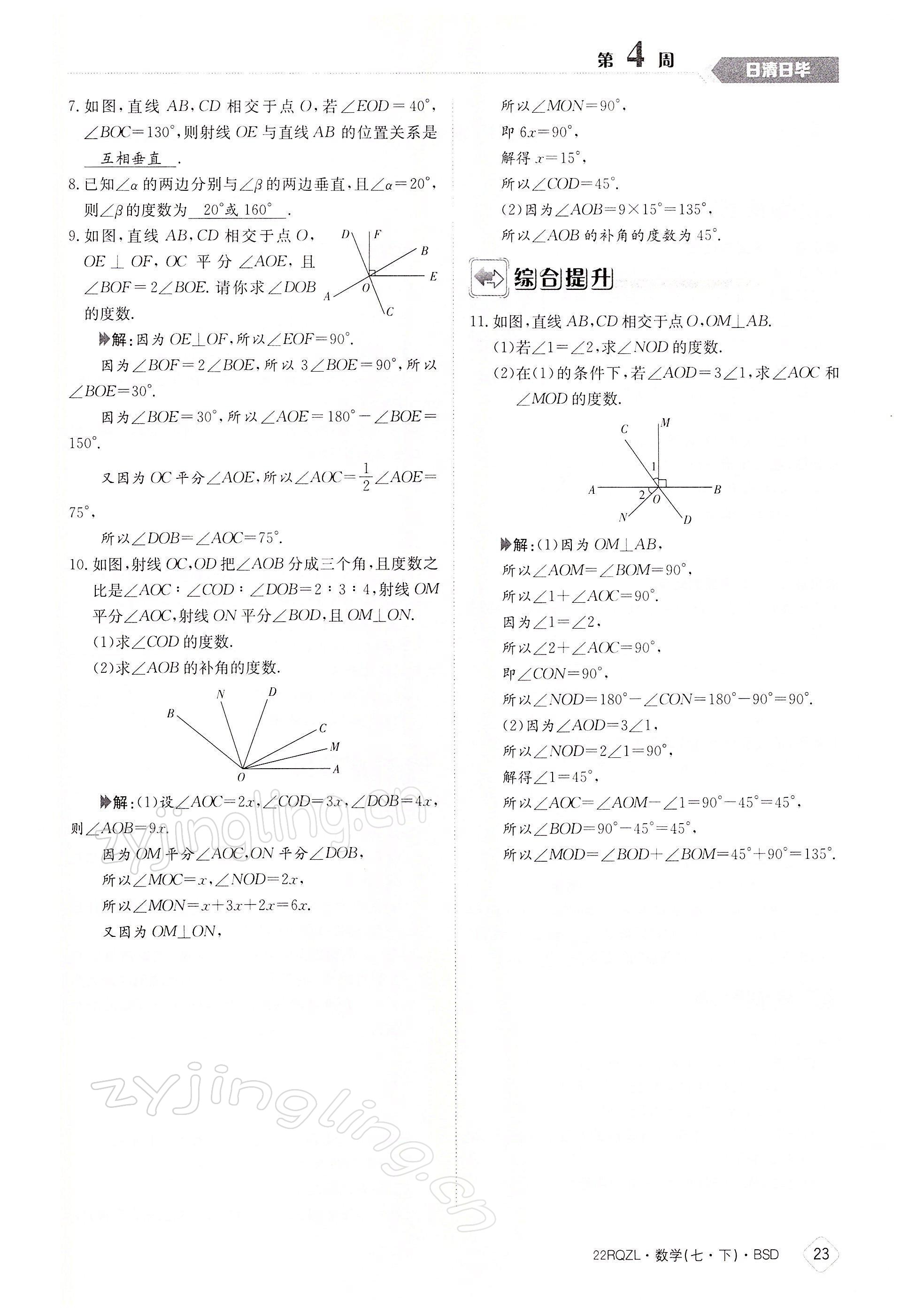 2022年日清周练七年级数学下册北师大版 参考答案第23页