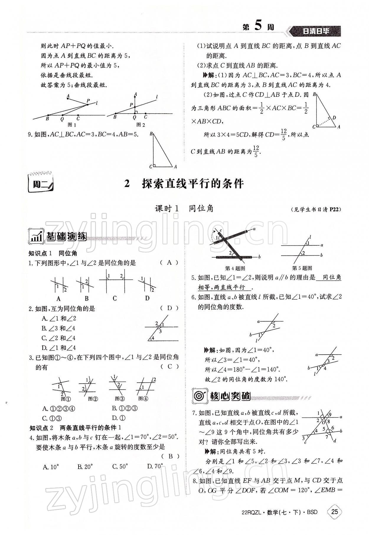 2022年日清周練七年級(jí)數(shù)學(xué)下冊(cè)北師大版 參考答案第25頁