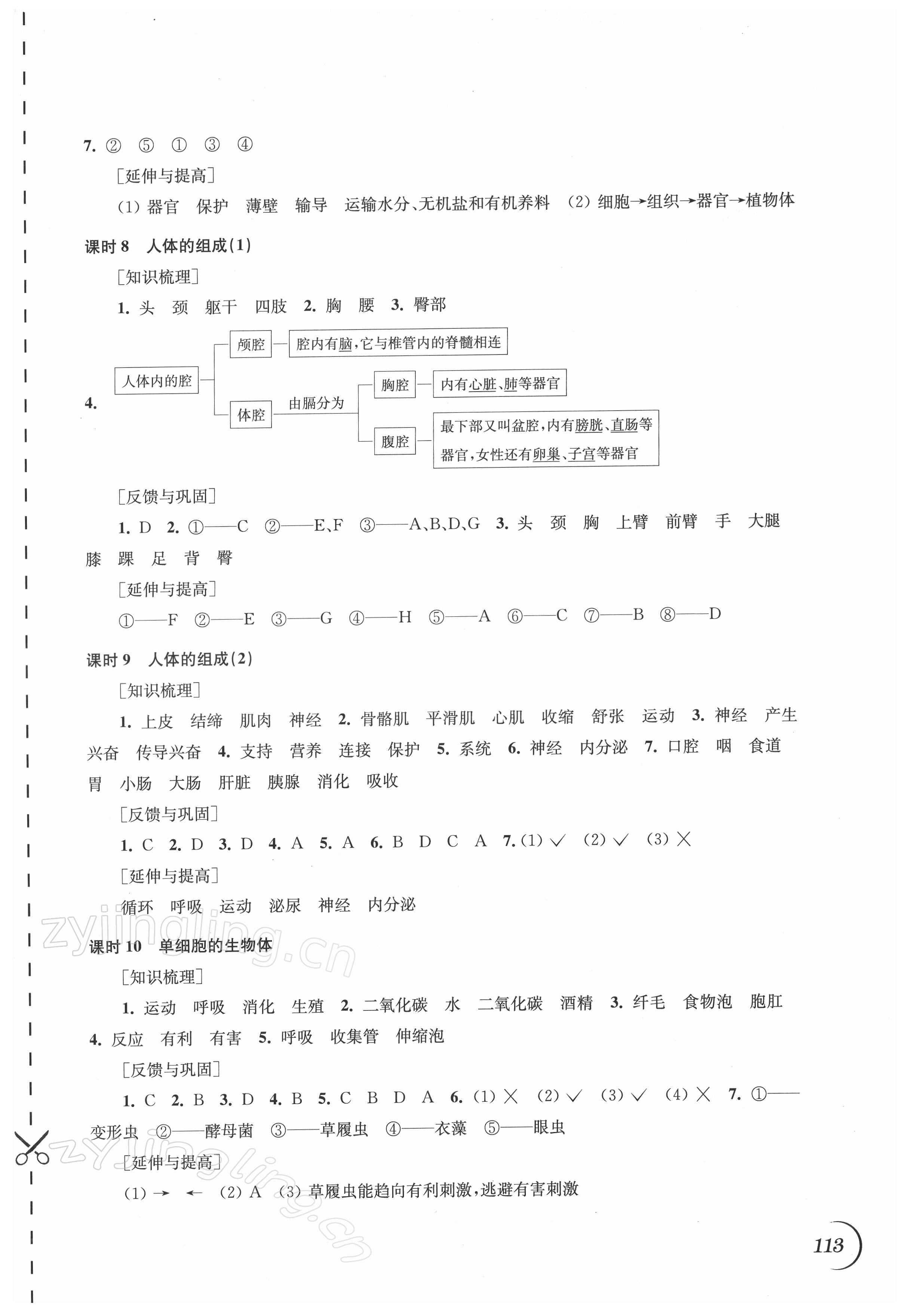 2022年同步練習(xí)江蘇七年級生物下冊蘇科版 第3頁