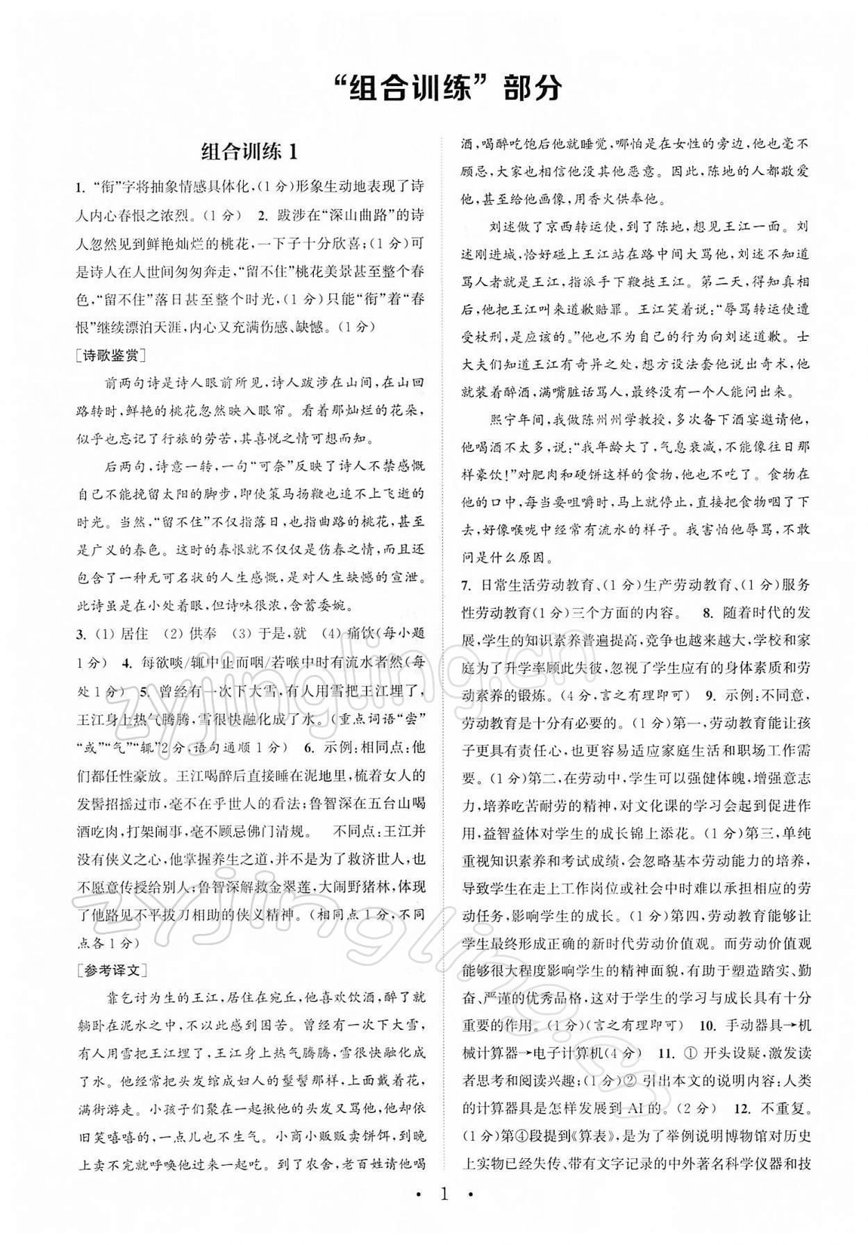 2022年通城學(xué)典初中語(yǔ)文閱讀組合訓(xùn)練中考版江蘇專版 參考答案第1頁(yè)