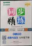 2022年同步精練廣東人民出版社九年級道德與法治下冊人教版