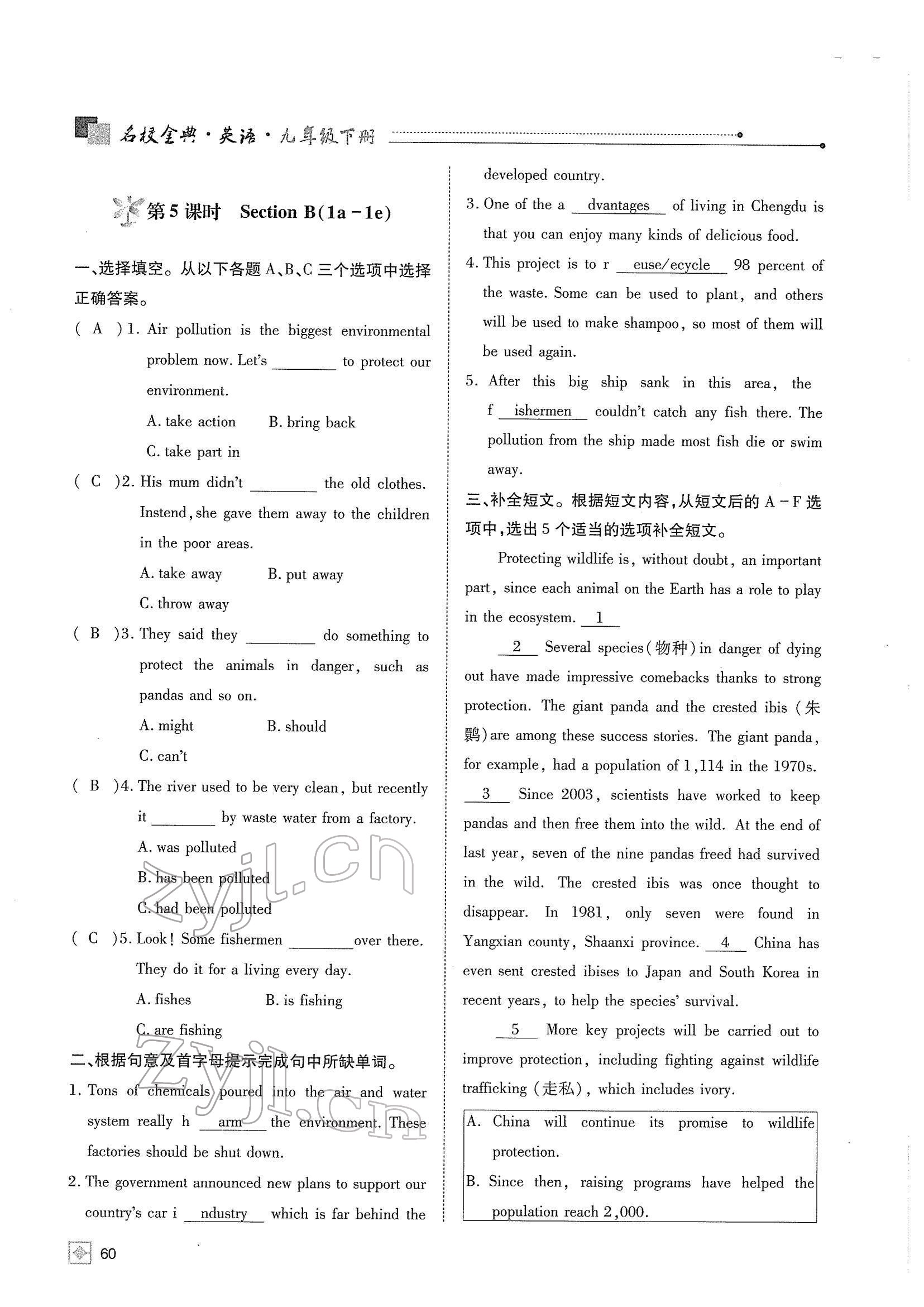 2022年名校金典課堂九年級英語下冊人教版成都專版 參考答案第64頁