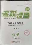 2022年名校課堂九年級化學(xué)下冊人教版安徽專版